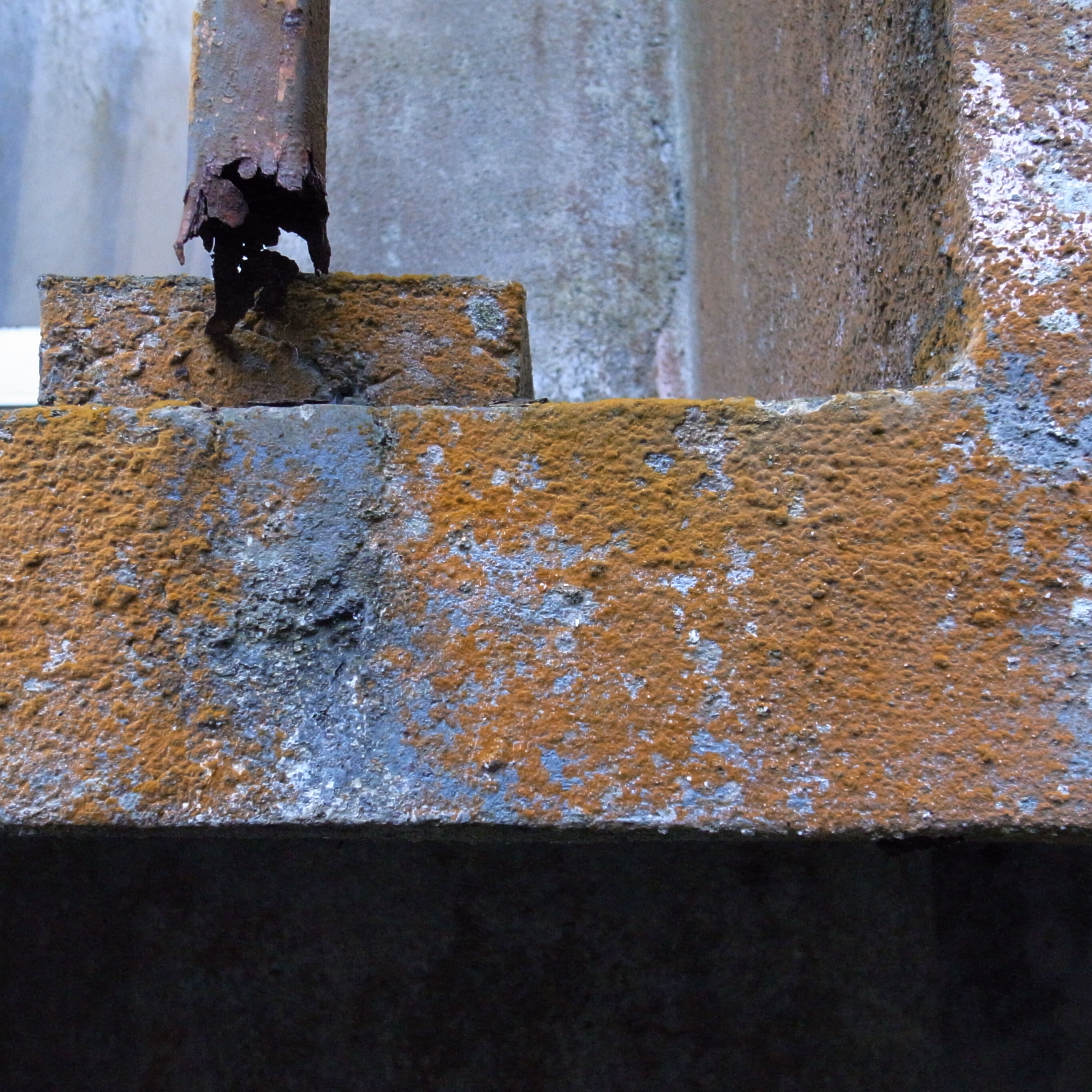 <b>GR DIGITAL III / 2,736×2,736 / 1/176秒 / F2.8 / 0EV / ISO800 / 絞り優先AE / WB:オート / 6mm</b>