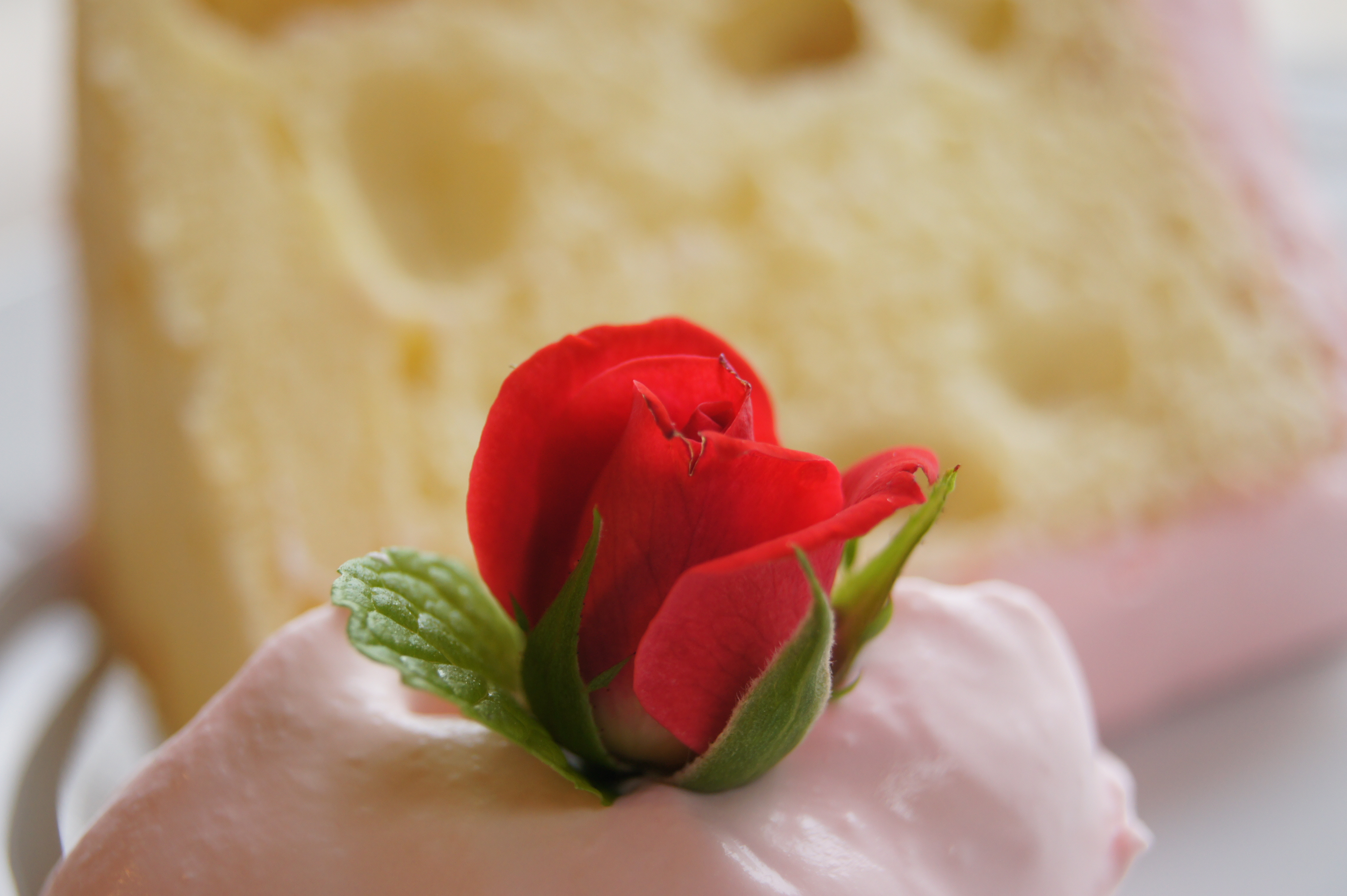 <b>α550 / DT 18-55mm F3.5-5.6 SAM / 約3.2MB / 4,592×3,056 / 1/60秒 / F5.6 / 0EV / ISO400 / WB:太陽光 / 55mm</b>