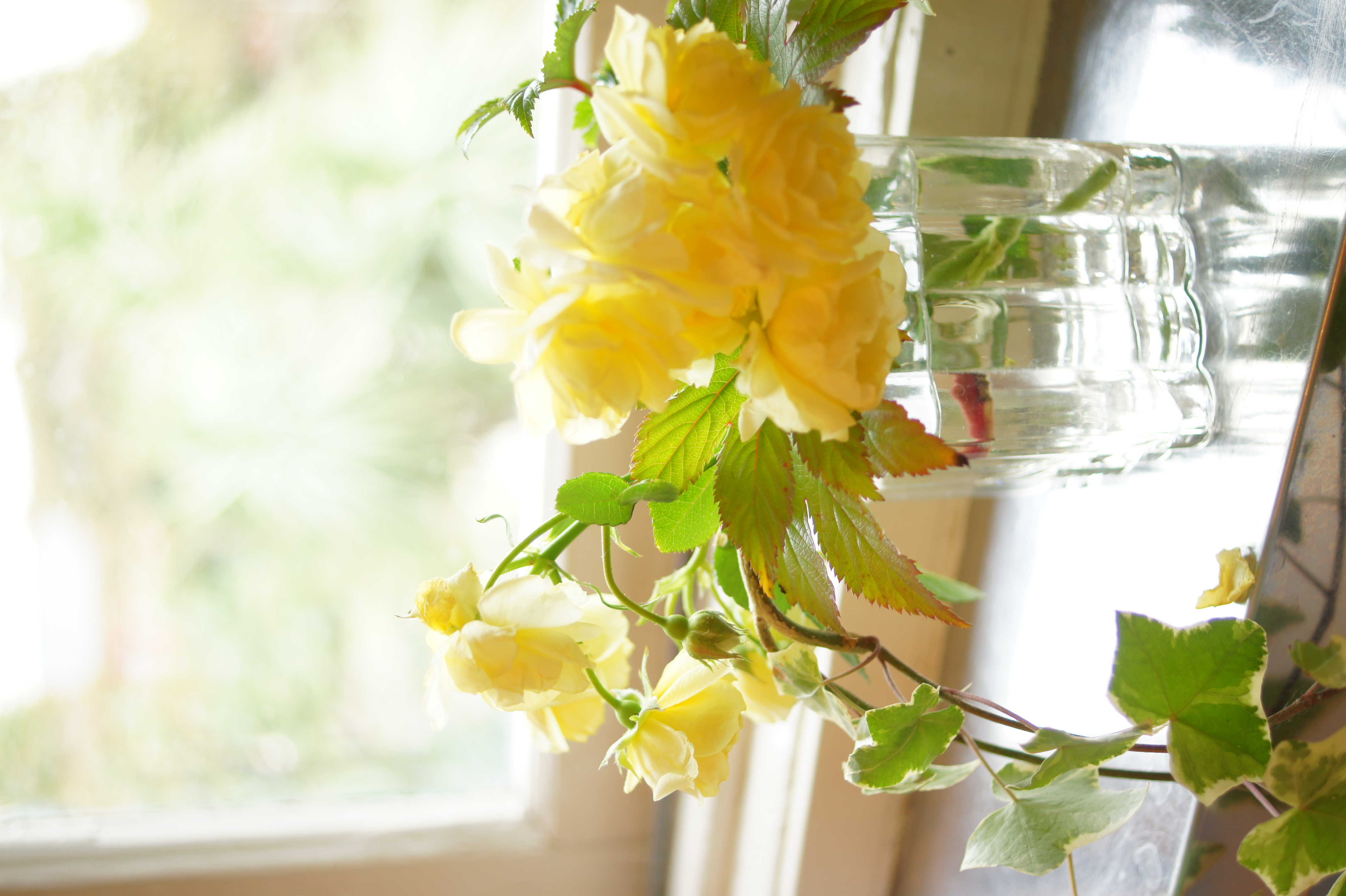 <b>α550 / DT 30mm F2.8 Macro SAM / 約3.2MB / 3,056×4,592 / 1/15秒 / F2.8 / +1.7EV / ISO200 / WB:太陽光 / 30mm</b>