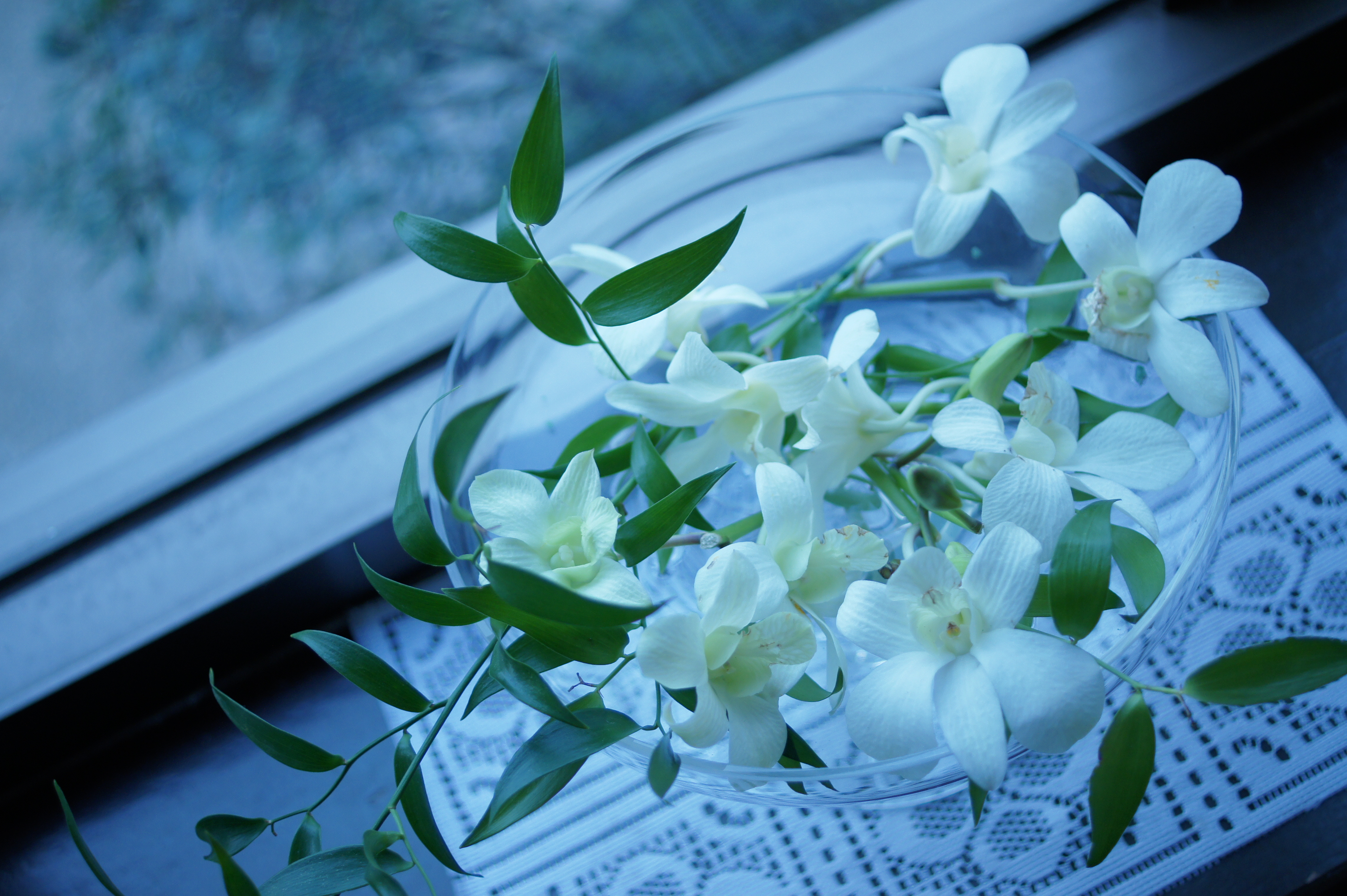 <b>α550 / DT 30mm F2.8 Macro SAM / 約4.5MB / 4,592×3,056 / 1/80秒 / F2.8 / +1EV / ISO400 / WB:電球 / 30mm</b>