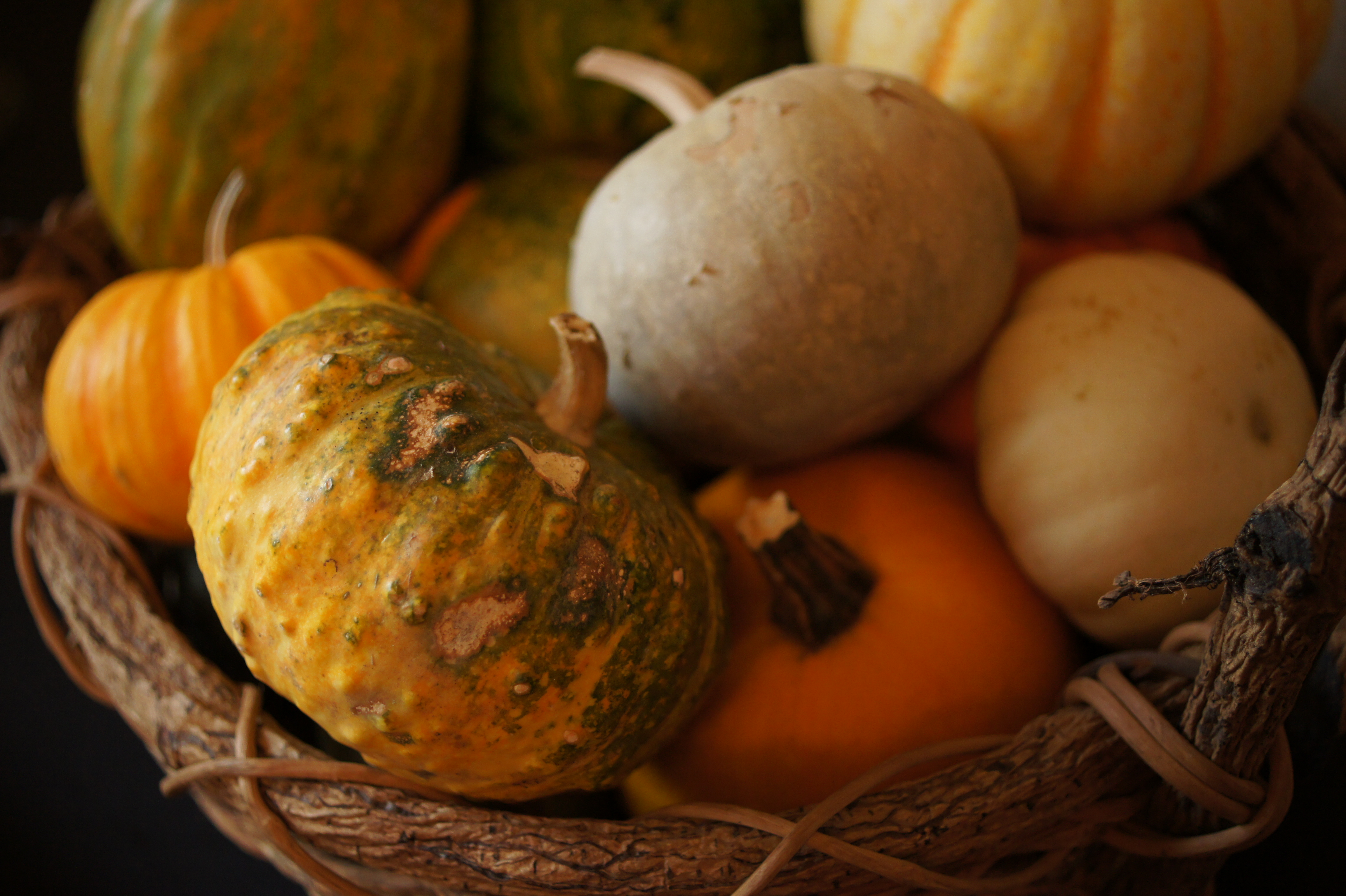 <b>α550 / DT 30mm F2.8 Macro SAM / 約3.8MB / 4,592×3,056 / 1/40秒 / F3.2 / -0.3EV / ISO800 / WB:蛍光灯 / 30mm</b>