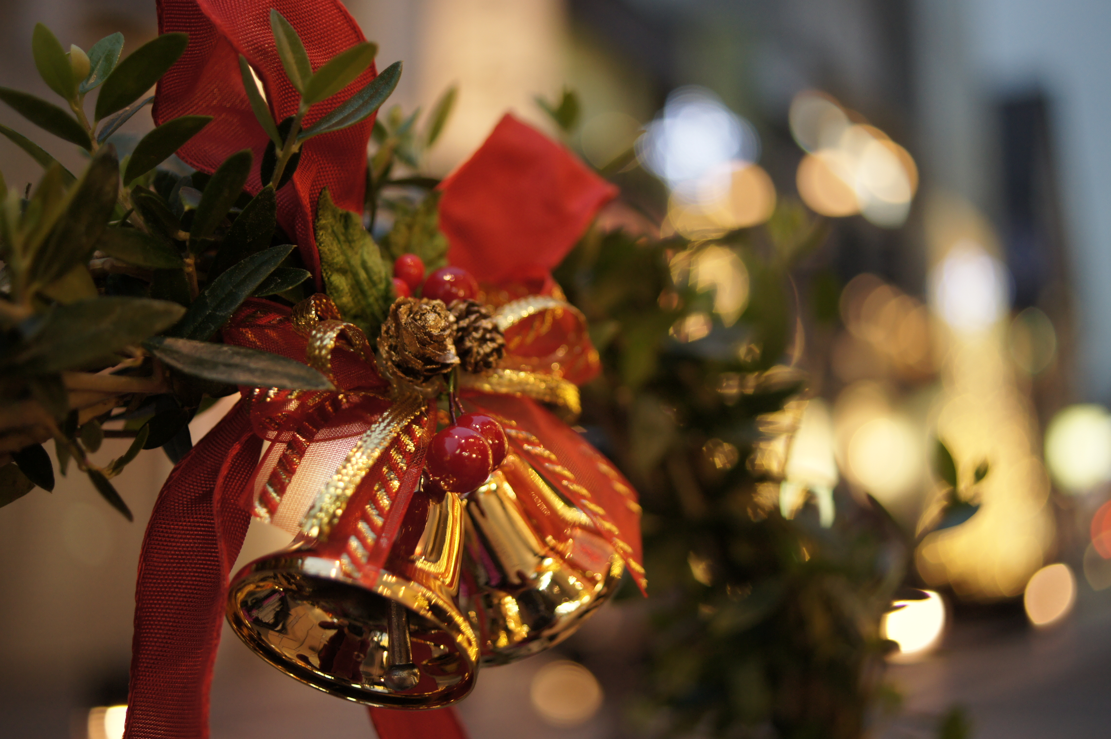 <b>α550 / DT 30mm F2.8 Macro SAM / 約4.3MB / 4,592×3,056 / 1/50秒 / F2.8 / -0.7EV / ISO500 / WB:曇天 / 30mm</b>