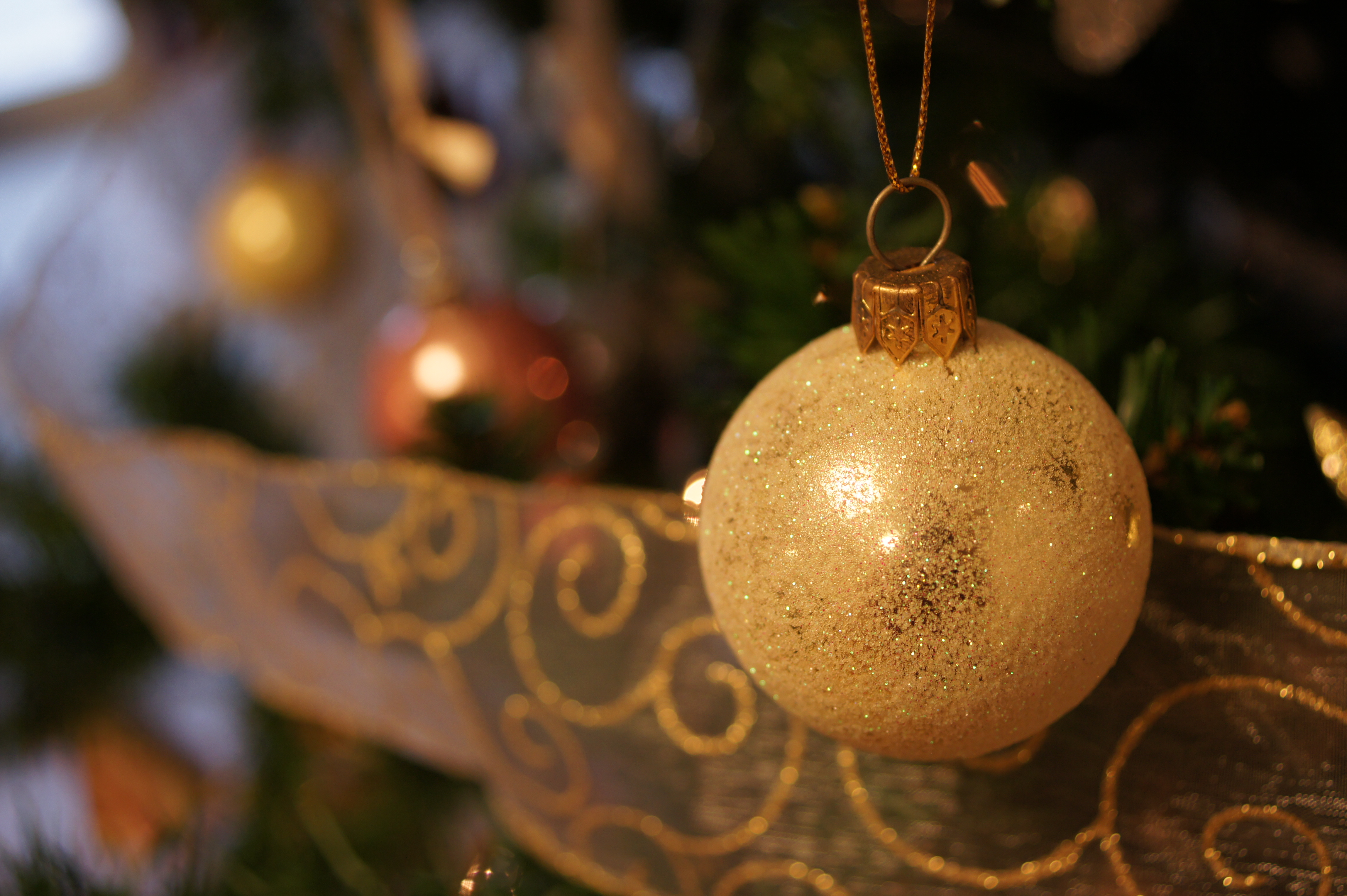 <b>α550 / DT 30mm F2.8 Macro SAM / 約4.0MB / 4,592×3,056 / 1/60秒 / F3.5 / -0.3EV / ISO400 / WB:蛍光灯 / 30mm</b>