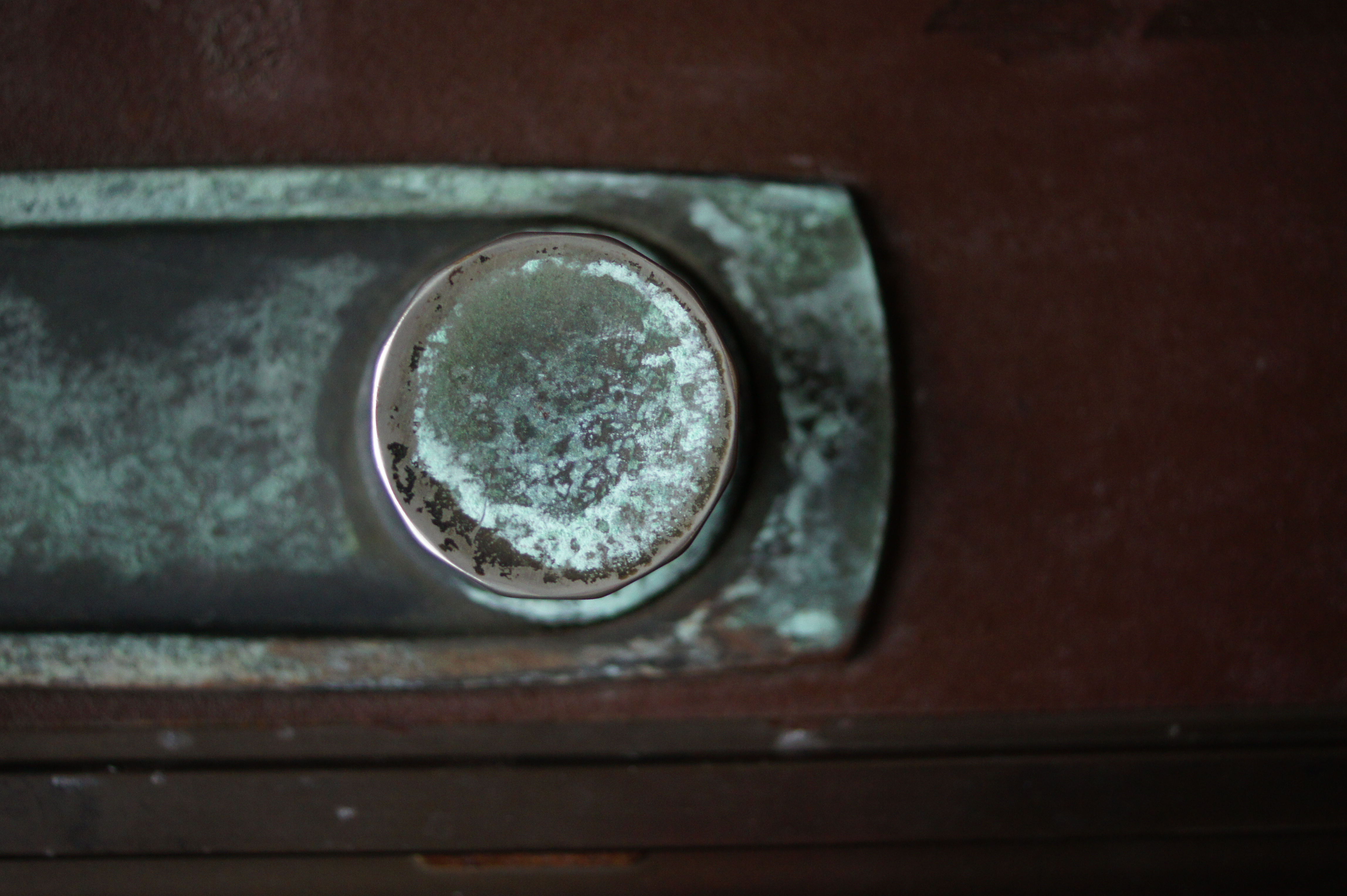 <b>α550 / DT 30mm F2.8 Macro SAM / 約4.3MB / 3,056×4,592 / 1/20秒 / F2.8 / -0.7EV / ISO800 / WB:日陰 / 30mm</b>