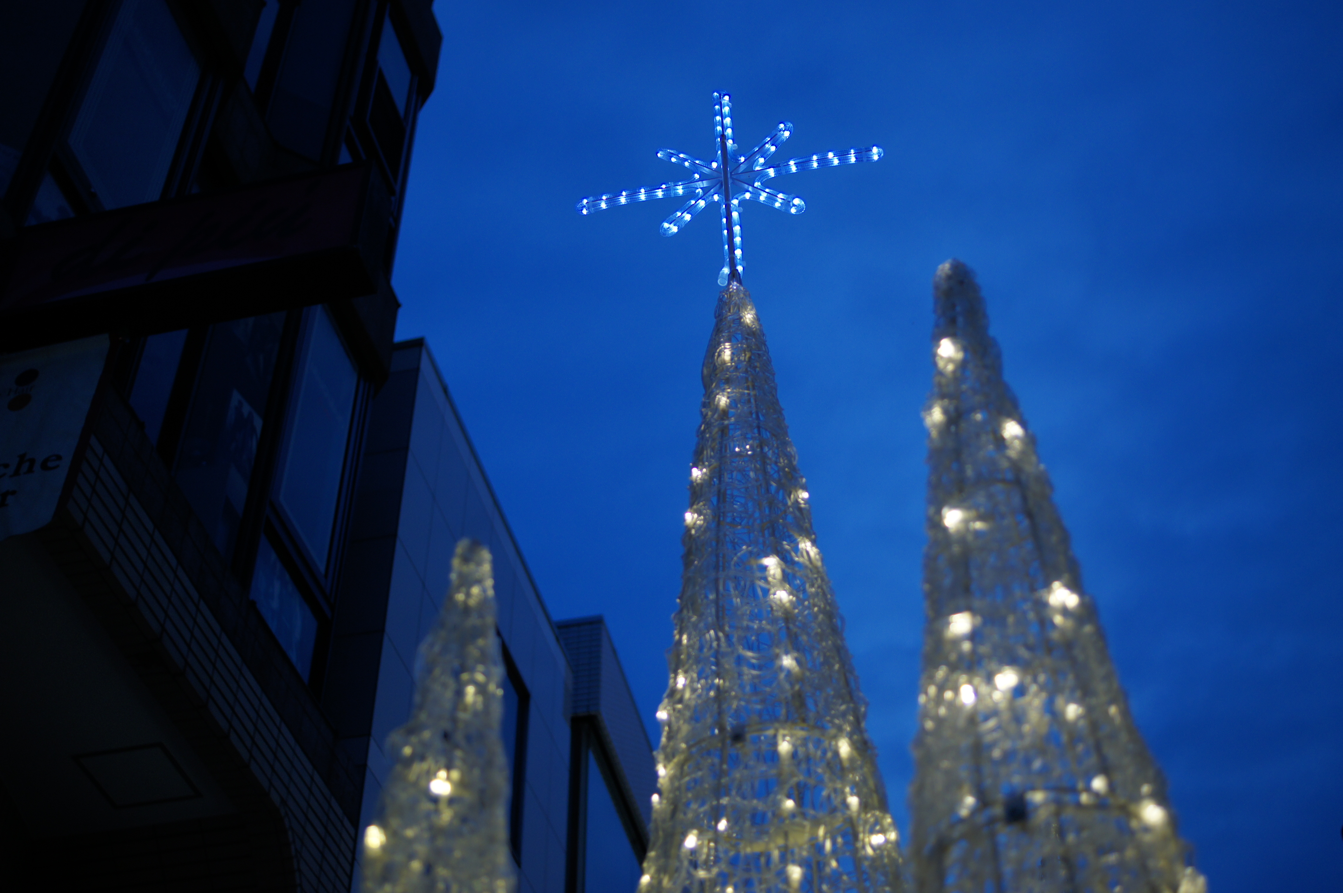 <b>α550 / DT 30mm F2.8 Macro SAM / 約3.6MB / 4,592×3,056 / 1/100秒 / F3.2 / -0.3EV / ISO200 / WB:電球 / 30mm</b>