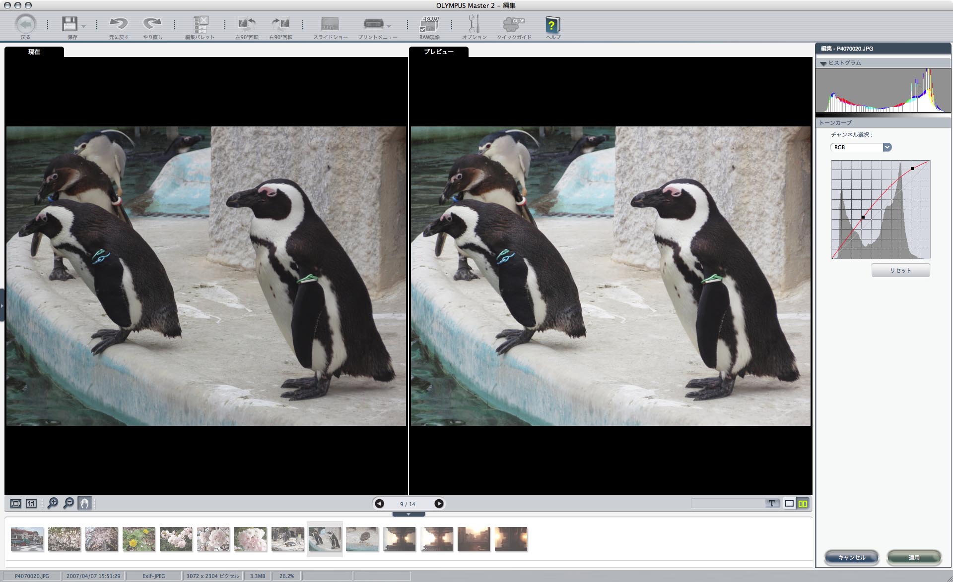 <b>OLYMPUS Master 2</b>