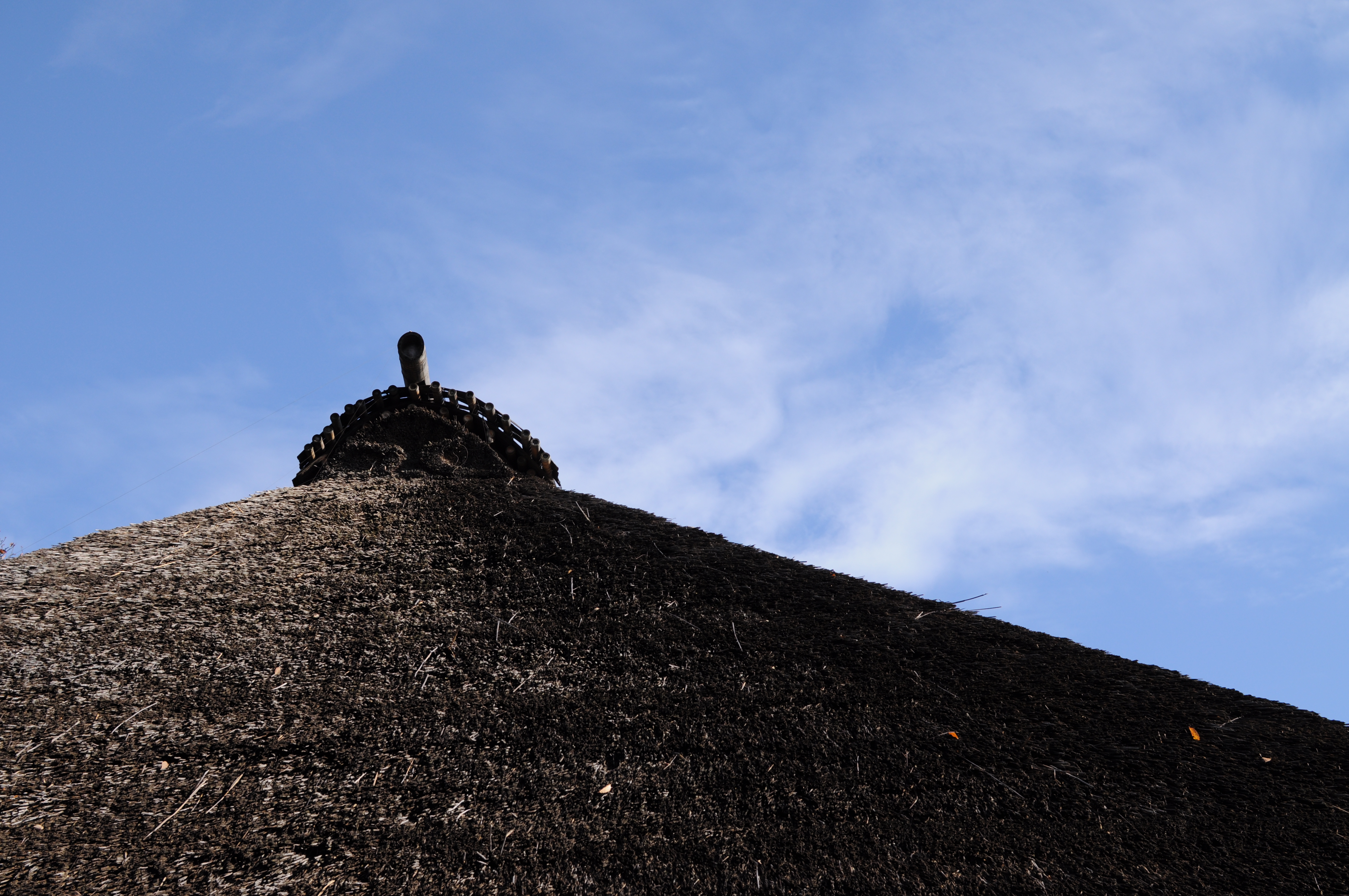 <b>D90 / AF-S DX NIKKOR 35mm F1.8 G / 約5.3MB / 4,288×2,848 / 1/1,000秒 / F5.6 / -1EV / ISO200 / WB:晴天 / 35mm</b>