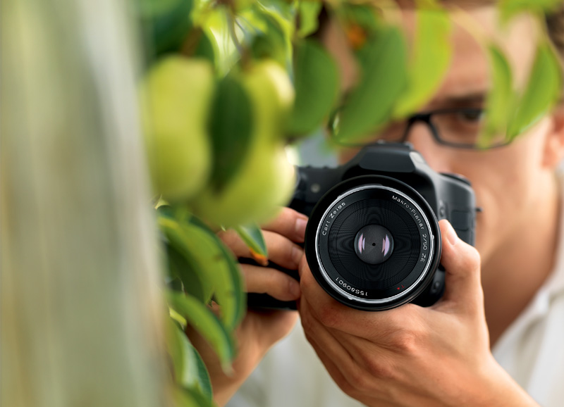 <b>Makro-Planar（マクロプラナー）T* 2/50 ZE</b>