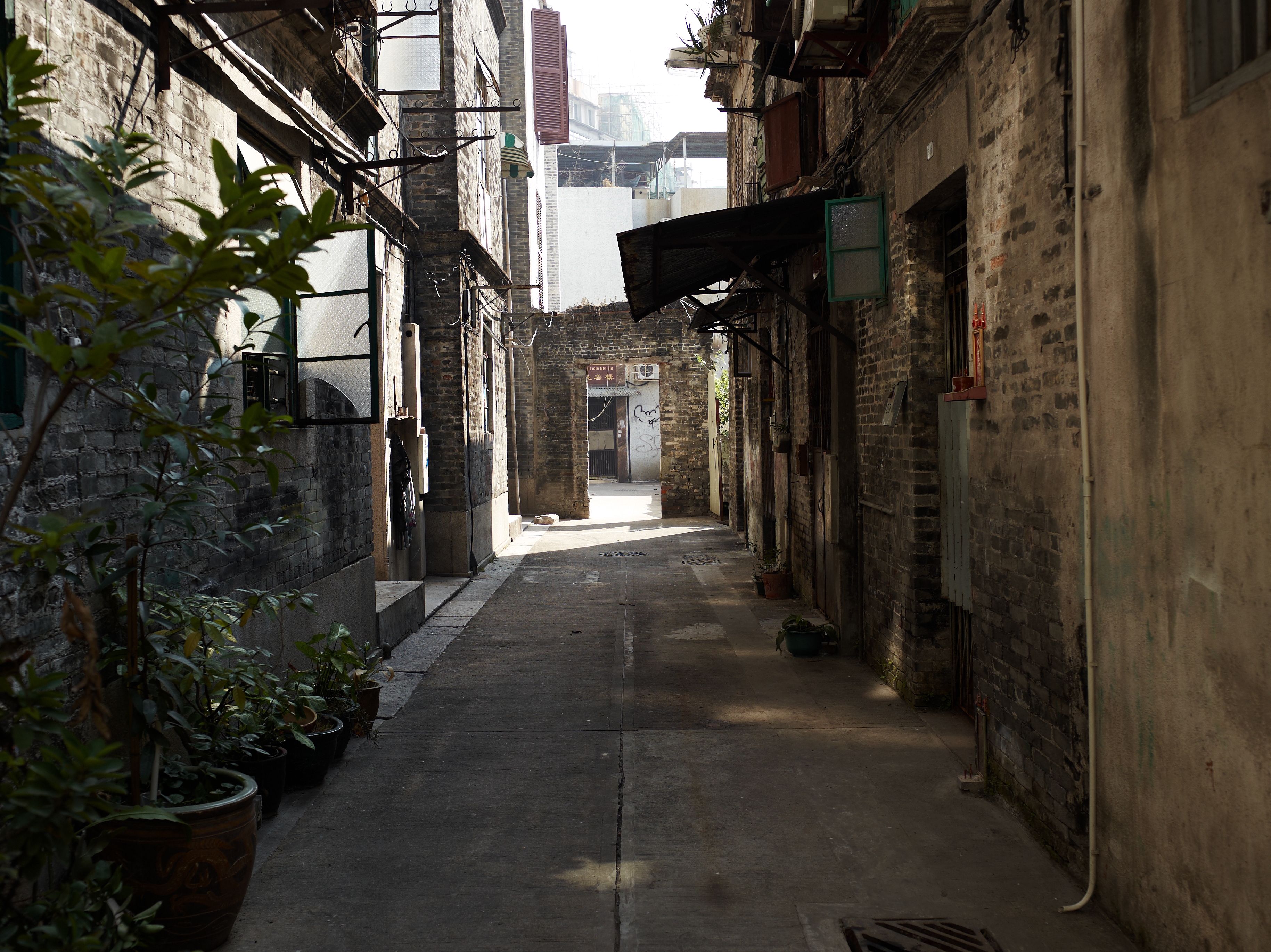 <b>AF 45mm F2.8 / 約7.4MB / 3,658×2,740（Senser+）/ 1/250秒 / F6.3 / -0.7EV / ISO200 / 45mm</b>