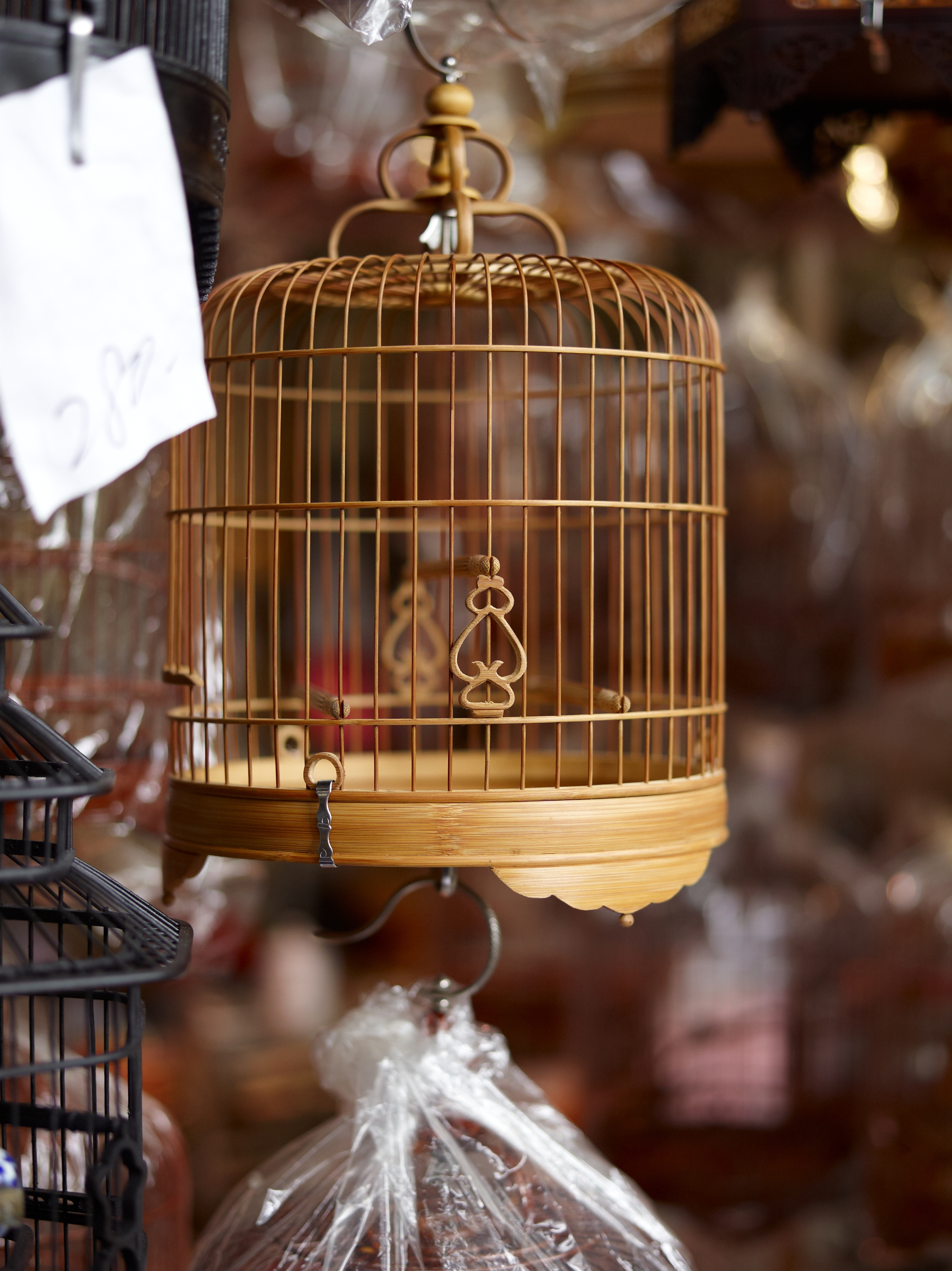 <b>LS 80mm F2.8 / 約5.9MB / 2,740×3,658（Senser+）/ 1/160秒 / F2.8 / -0.3EV / ISO400 / 80mm</b>