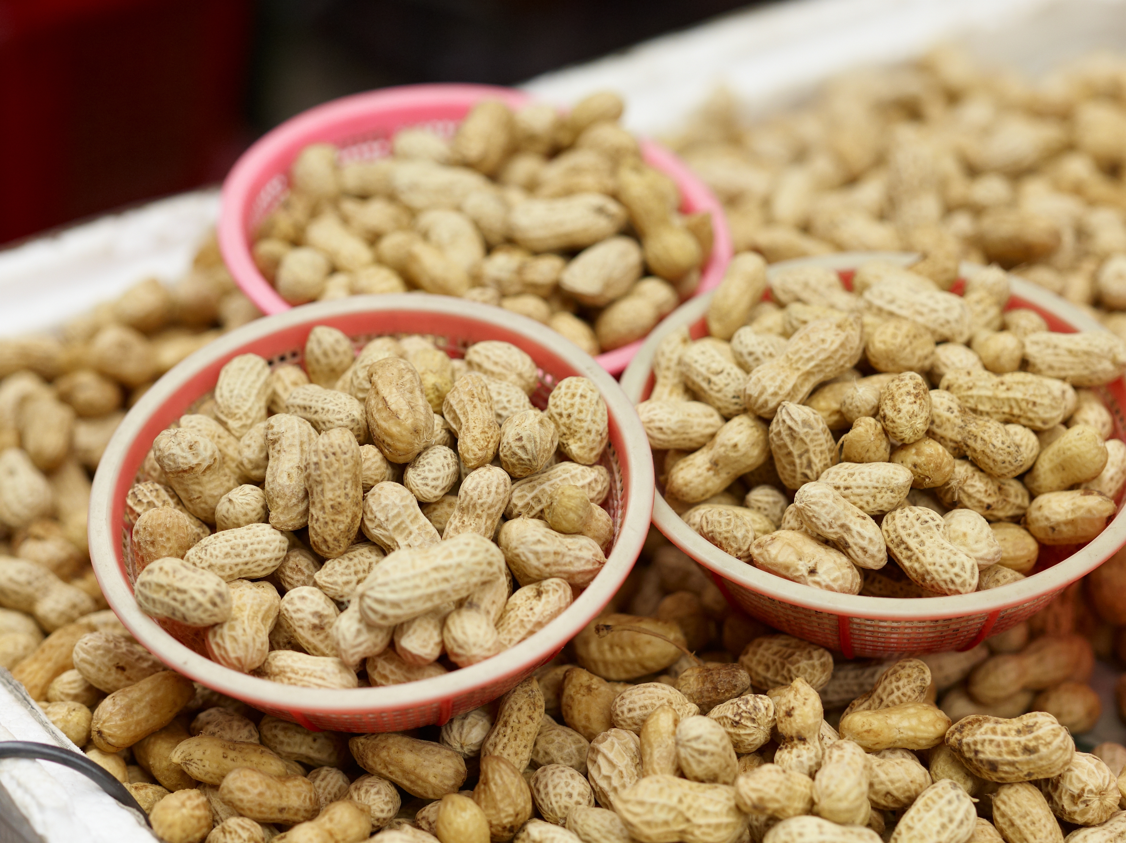 <b>AF 150mm F2.8 IF D / 約6.5MB / 3,658×2,740（Senser+）/ 1/1250秒 / F3.5 / +0.3EV / ISO400 / 150mm</b>