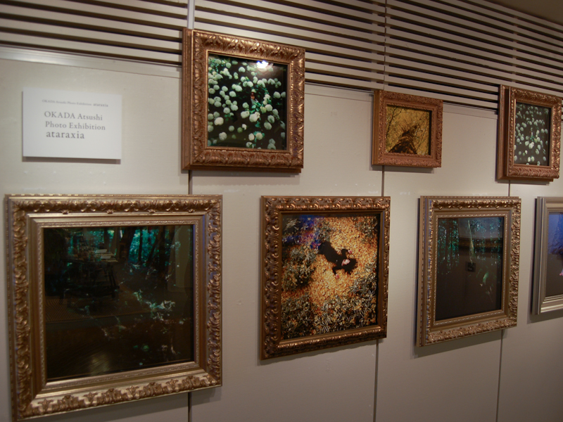 <b>西洋の宗教画のようなイメージにするため、フレームは欧州製の油絵用の額縁をオーダーで作った</b>