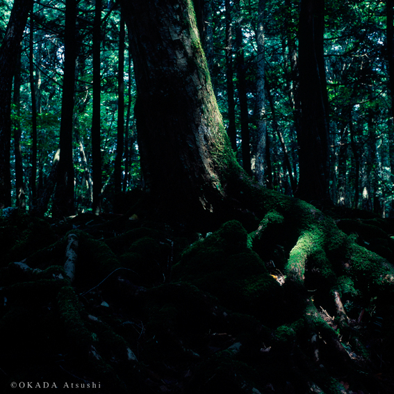 <b>デジタルとフィルムの表現を比べると「フィルムの方が生っぽい気がする」という (c)岡田敦</b>