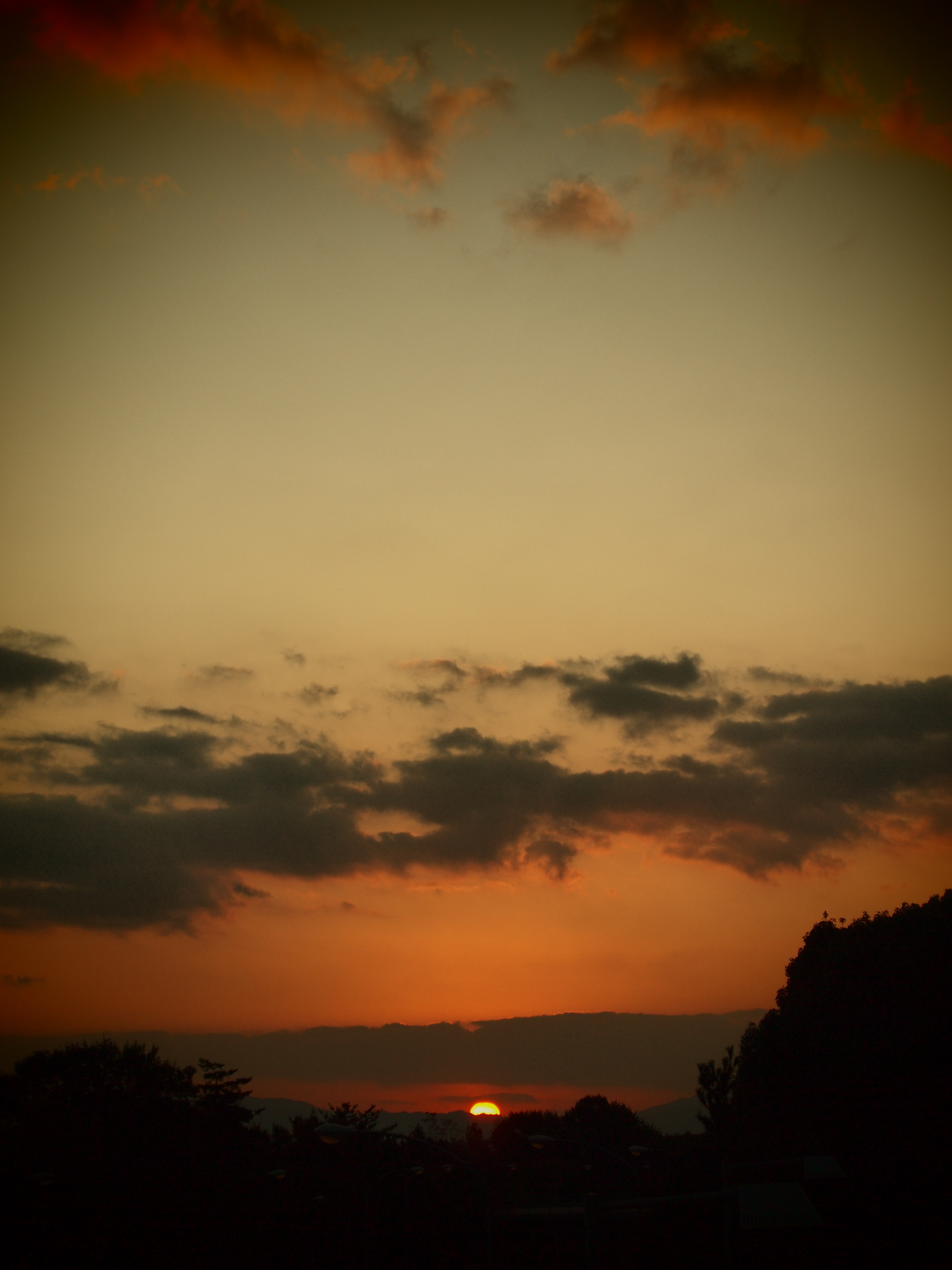 <b>E-P1 / M.ZUIKO DIGITAL ED 14-42mm F3.5-5.6 / 約3.1MB / 3,024×4,032 / 1/640秒 / F5.6 / -0.7EV / ISO200 / 42mm / トイフォト / OLYMPUS Master 2で現像</b>