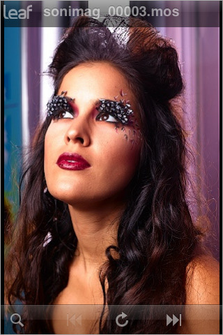 <b>Leaf Capture Remote</b>