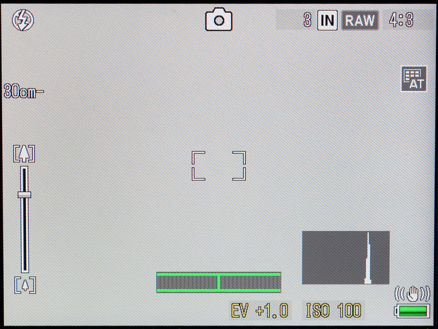 <b>水準器を表示させたところ。精度の高さよりも手持ち撮影での使いやすさを重視したチューニングのように感じられる</b>