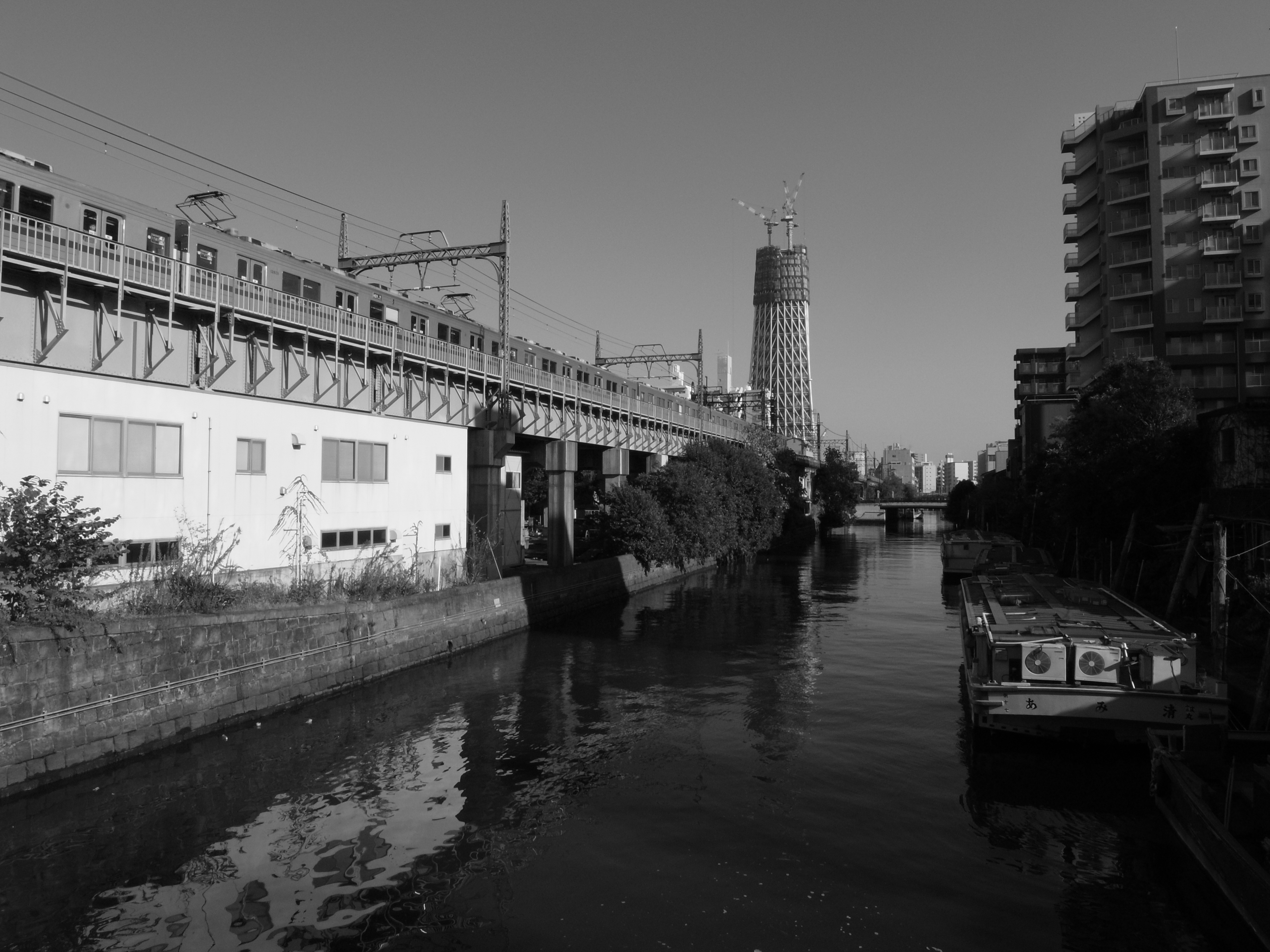 <b>白黒<br>3,648×2,736 / 1/440秒 / F8.1 / -0.7EV / ISO100 / WB:太陽光 / 5.1mm（24mm相当）</b>