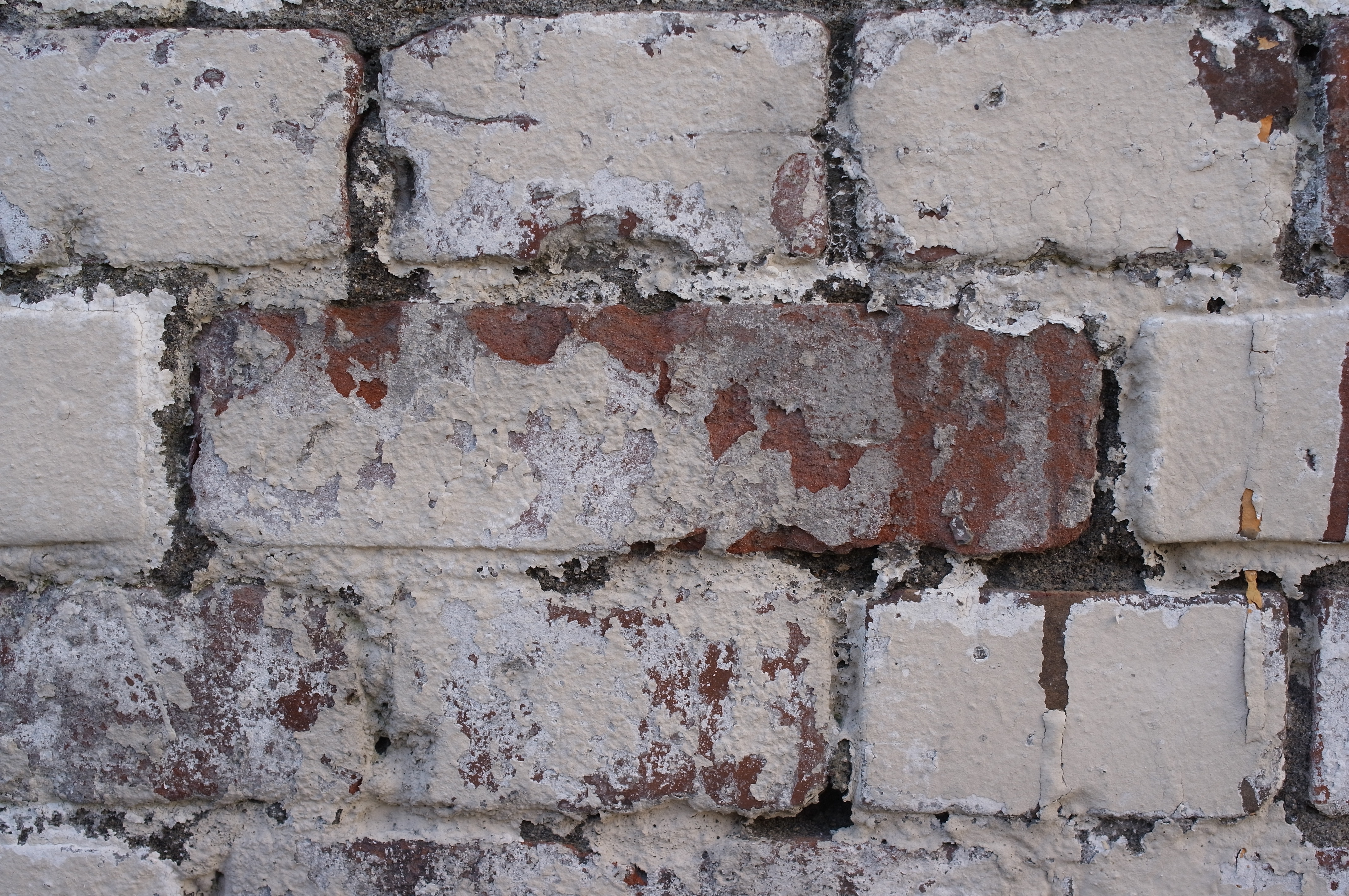 <b>ペンキがはげかけたレンガ塀。表面の凹凸の感じがよく出ている<br>4,288×2,848 / 1/164秒 / F5.6 / +0.3EV / ISO200 / WB:オート / 33mm（50mm相当）</b>