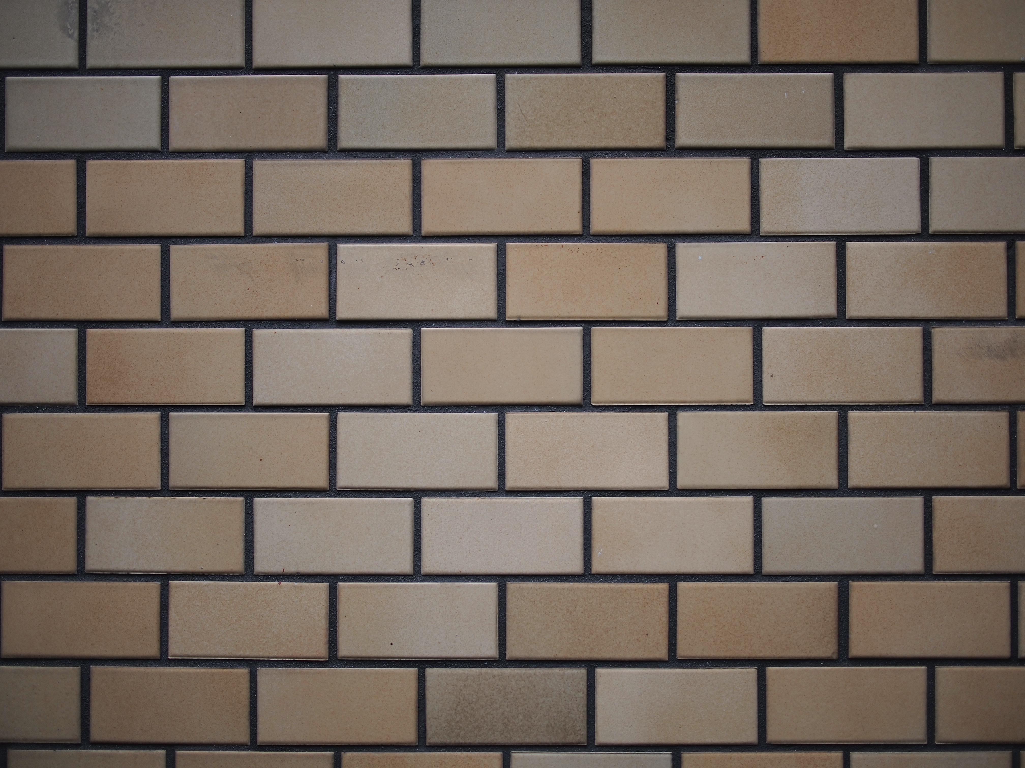 <b>F1.7<br>E-P2 / LUMIX G 20mm F1.7 ASPH. / 約5.8MB / 4,032×3,024 / 1/400秒 / +0.3EV / ISO100 / WB:オート / 20mm</b>