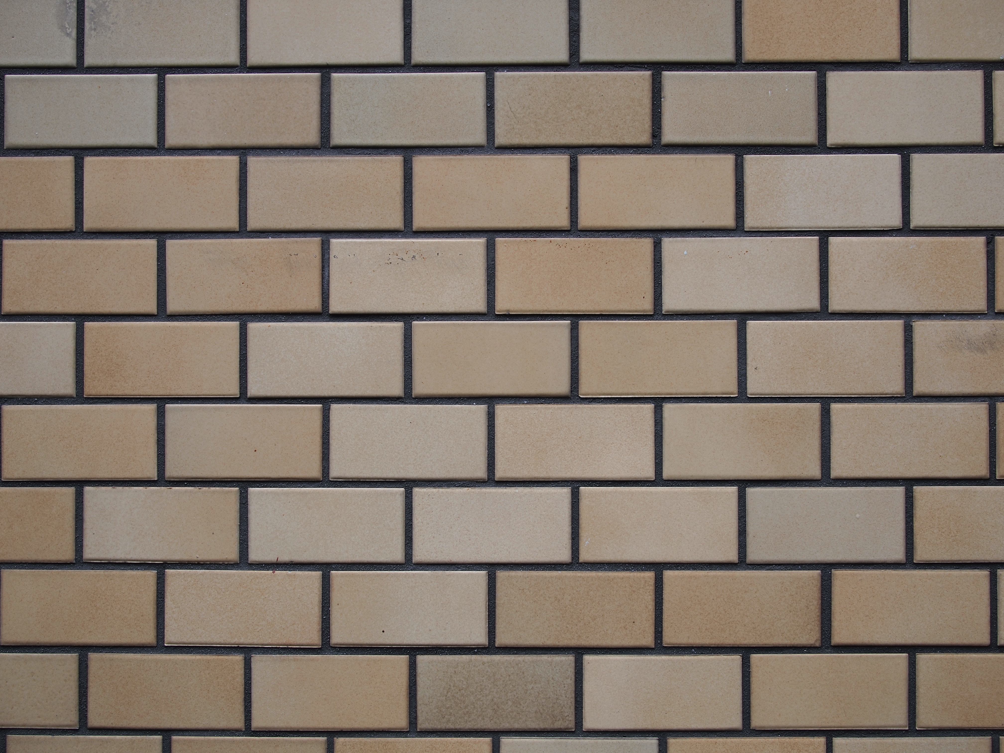 <b>F4<br>E-P2 / LUMIX G 20mm F1.7 ASPH. / 約5.5MB / 4,032×3,024 / 1/60秒 / +0.3EV / ISO100 / WB:オート / 20mm</b>