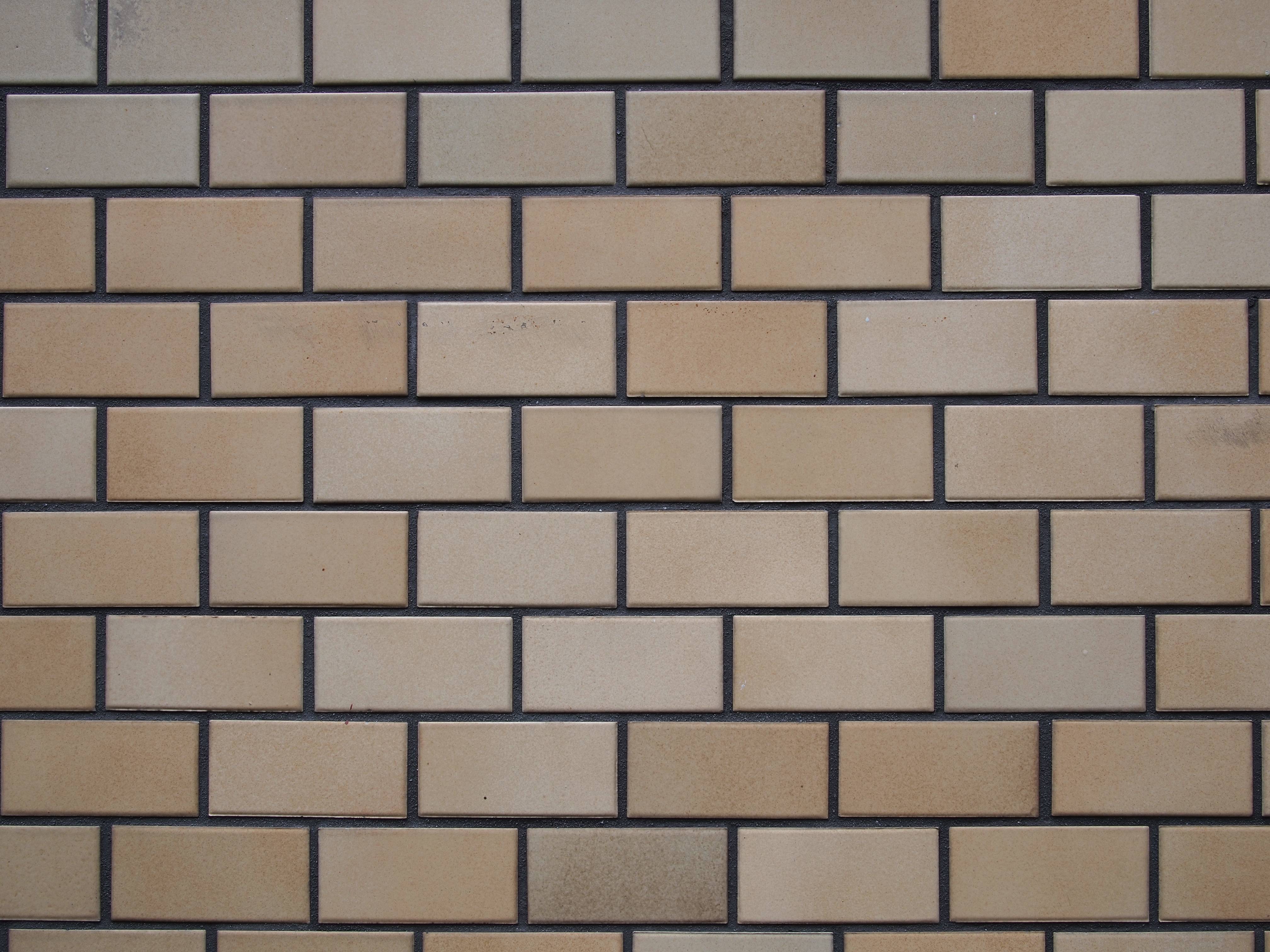 <b>F8<br>E-P2 / LUMIX G 20mm F1.7 ASPH. / 約5.5MB / 4,032×3,024 / 1/15秒 / +0.3EV / ISO100 / WB:オート / 20mm</b>