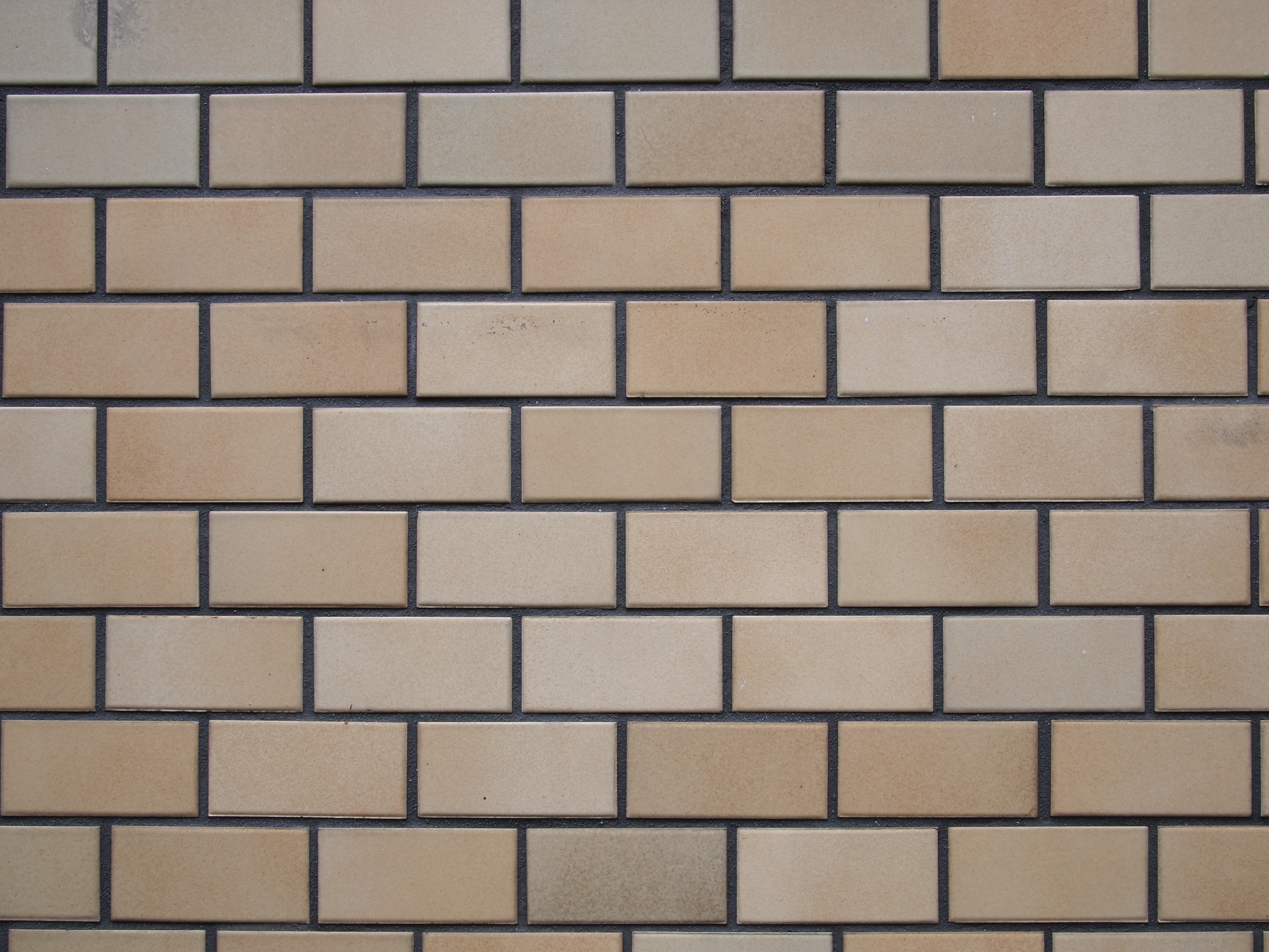 <b>F16<br>E-P2 / LUMIX G 20mm F1.7 ASPH. / 約5.6MB / 4,032×3,024 / 1/4秒 / +0.3EV / ISO100 / WB:オート / 20mm</b>