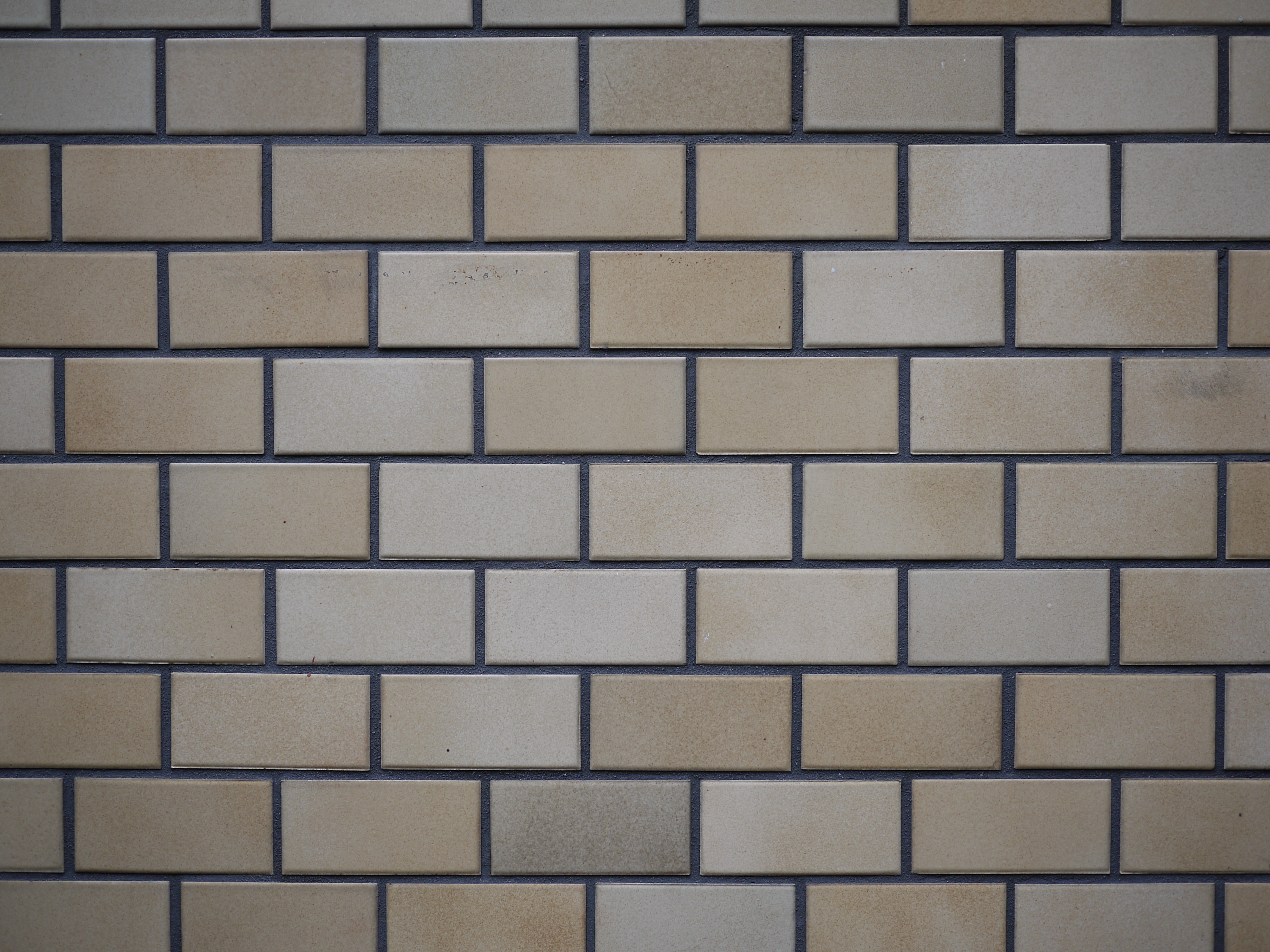 <b>F2<br>DMC-GF1 / LUMIX G 20mm F1.7 ASPH. / 約5.6MB / 4,000×3,000 / 1/200秒 / +0.3EV / ISO100 / WB:オート / 20mm</b>