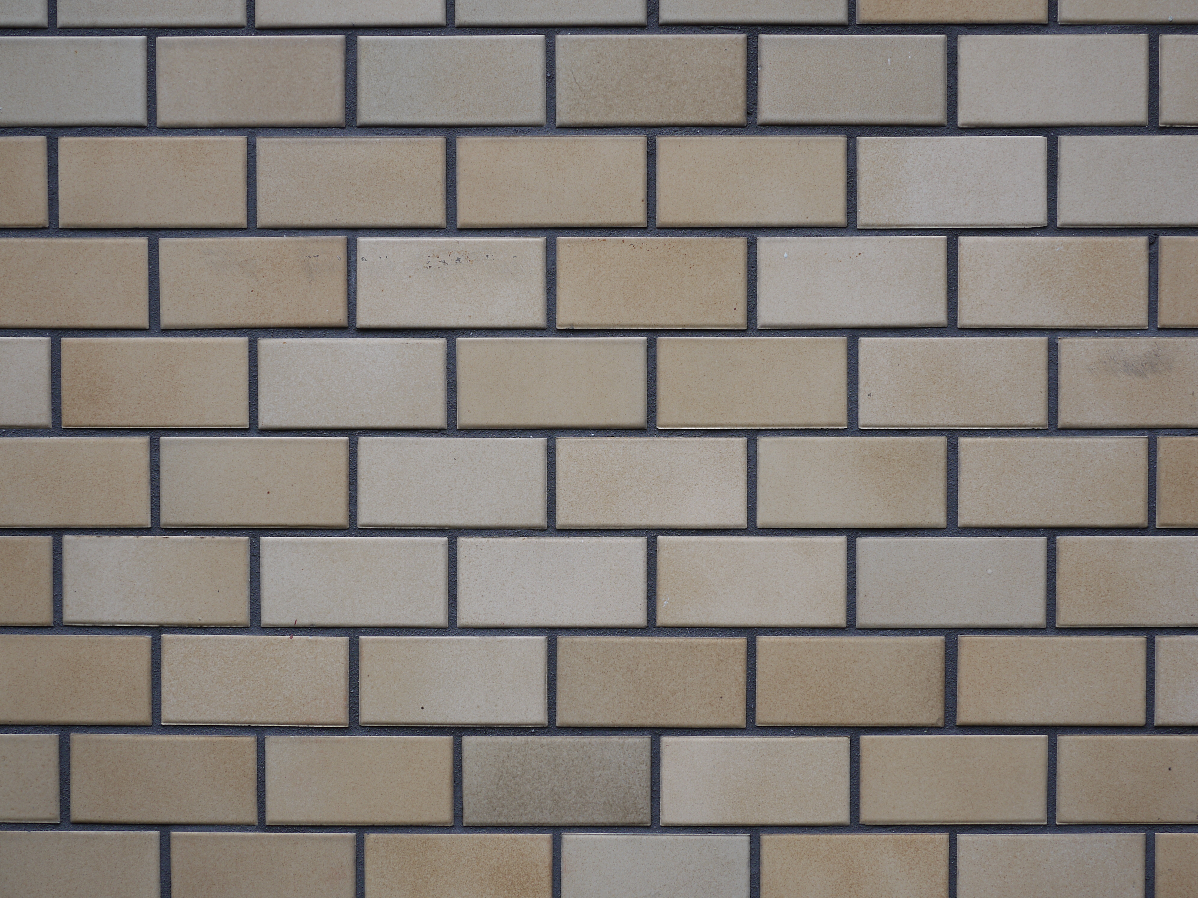 <b>F5.6<br>DMC-GF1 / LUMIX G 20mm F1.7 ASPH. / 約5.0MB / 4,000×3,000 / 1/25秒 / +0.3EV / ISO100 / WB:オート / 20mm</b>