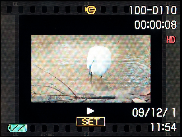 <b>動画の再生画面。フィルムの1コマふうのフレームが付いている。SETボタンを押すと再生される</b>