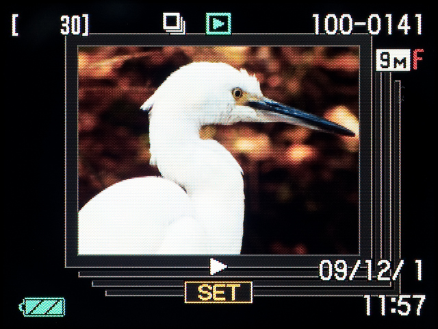 <b>こちらは連写で撮った写真。30コマもあるのでひとまとめにして表示するようになっている</b>