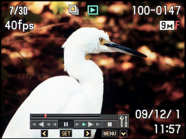 <b>連写で撮った写真はSETボタンを押すと、動画っぽく連続して再生できる。</b>