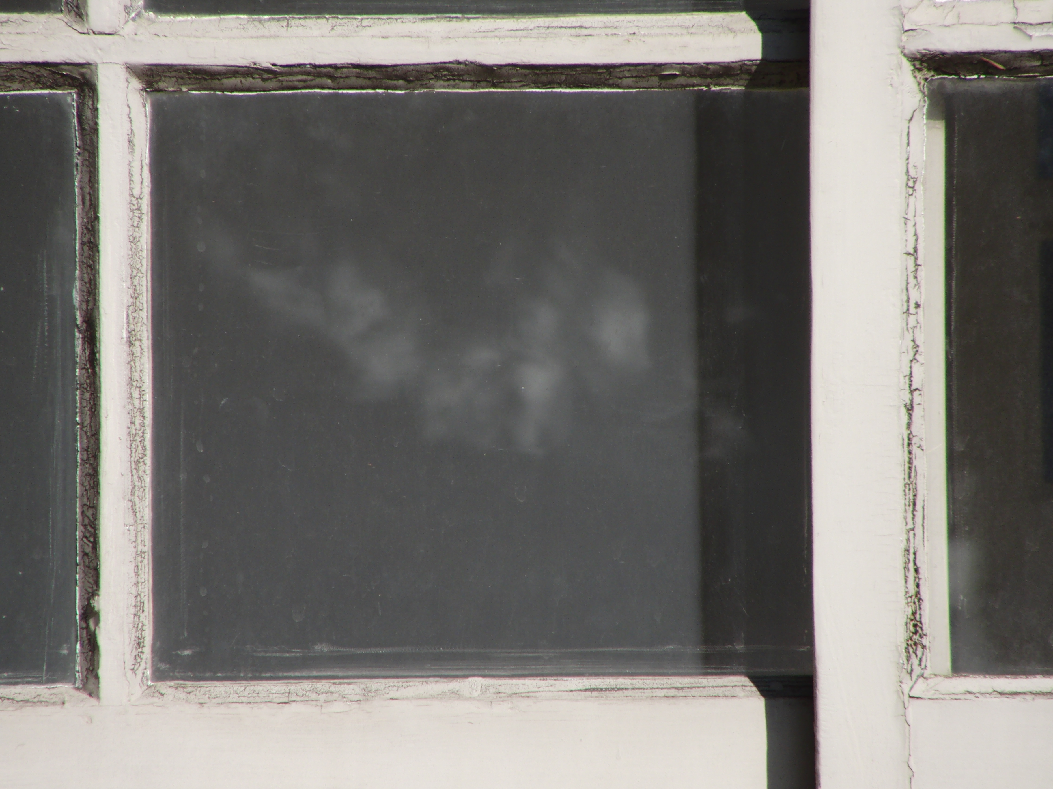 <b>92mm（520mm相当）<br>3,648×2,736 / 1/320秒 / F6.3 / -0.3EV / ISO100 / WB:太陽光</b>