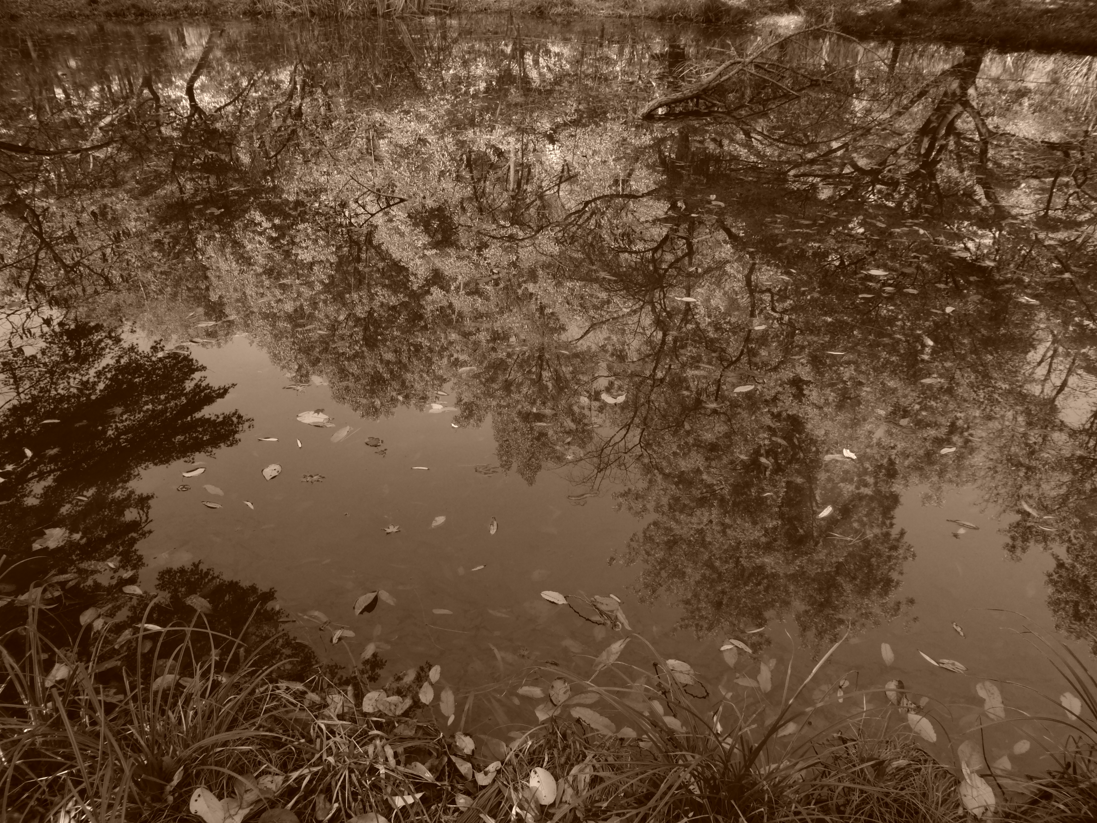 <b>カラーフィルター：セピア</b>