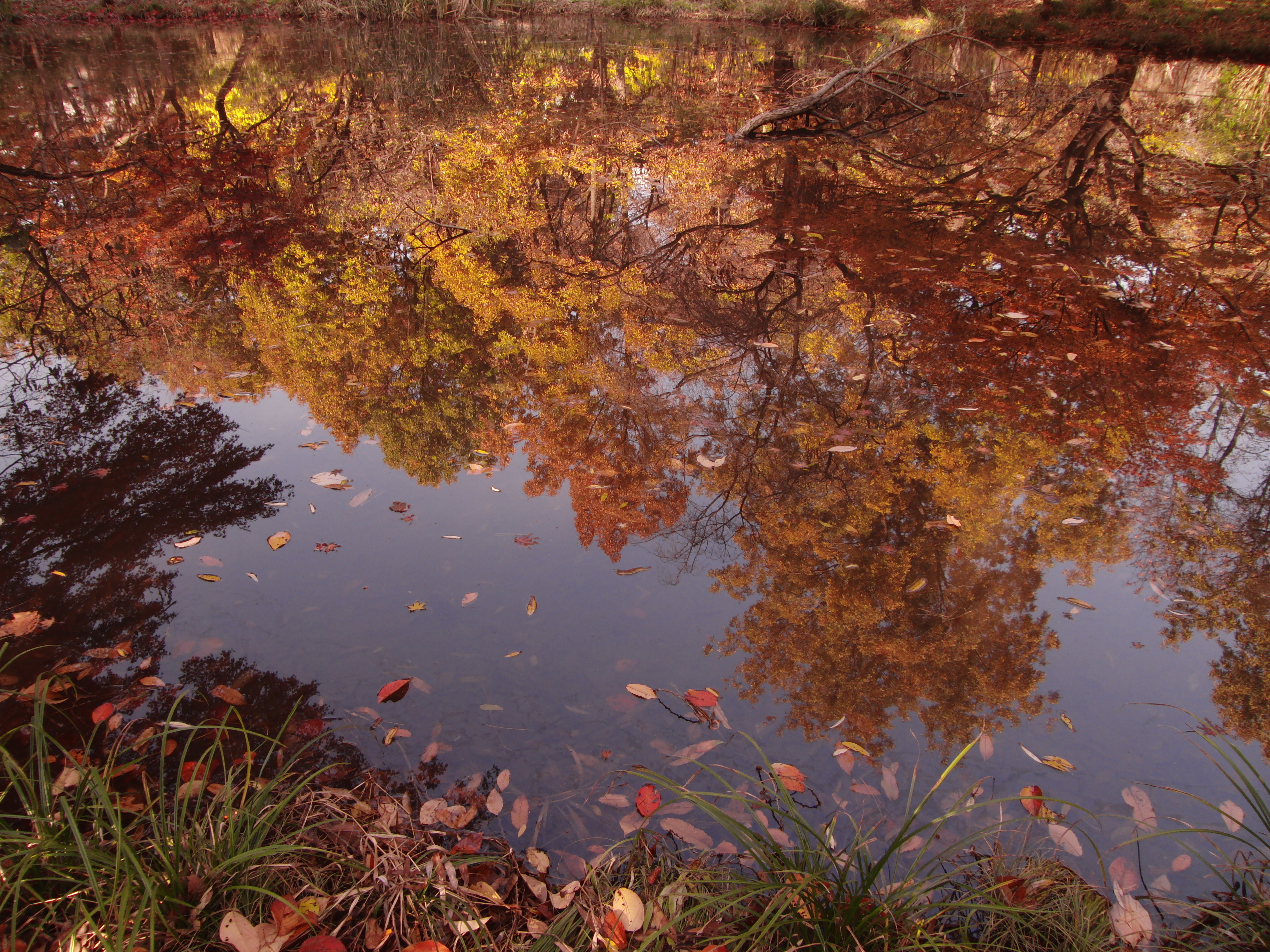 <b>カラーフィルター：赤</b>