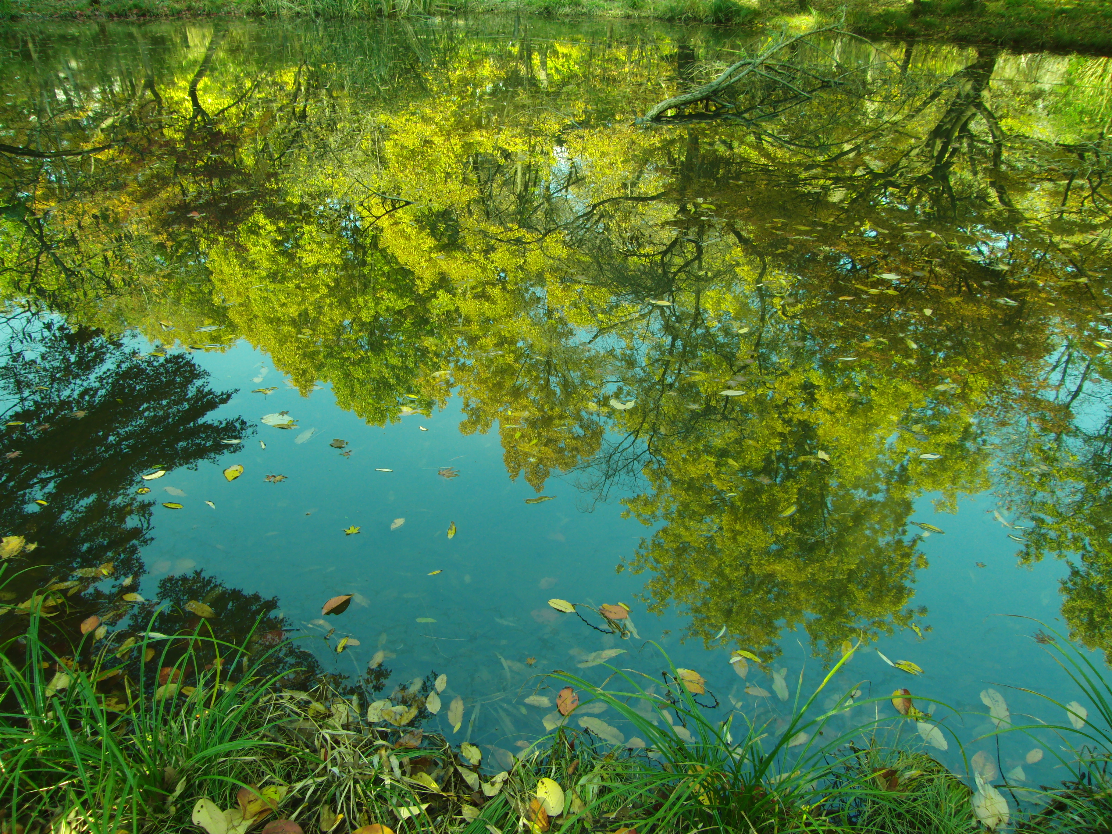 <b>カラーフィルター：緑</b>