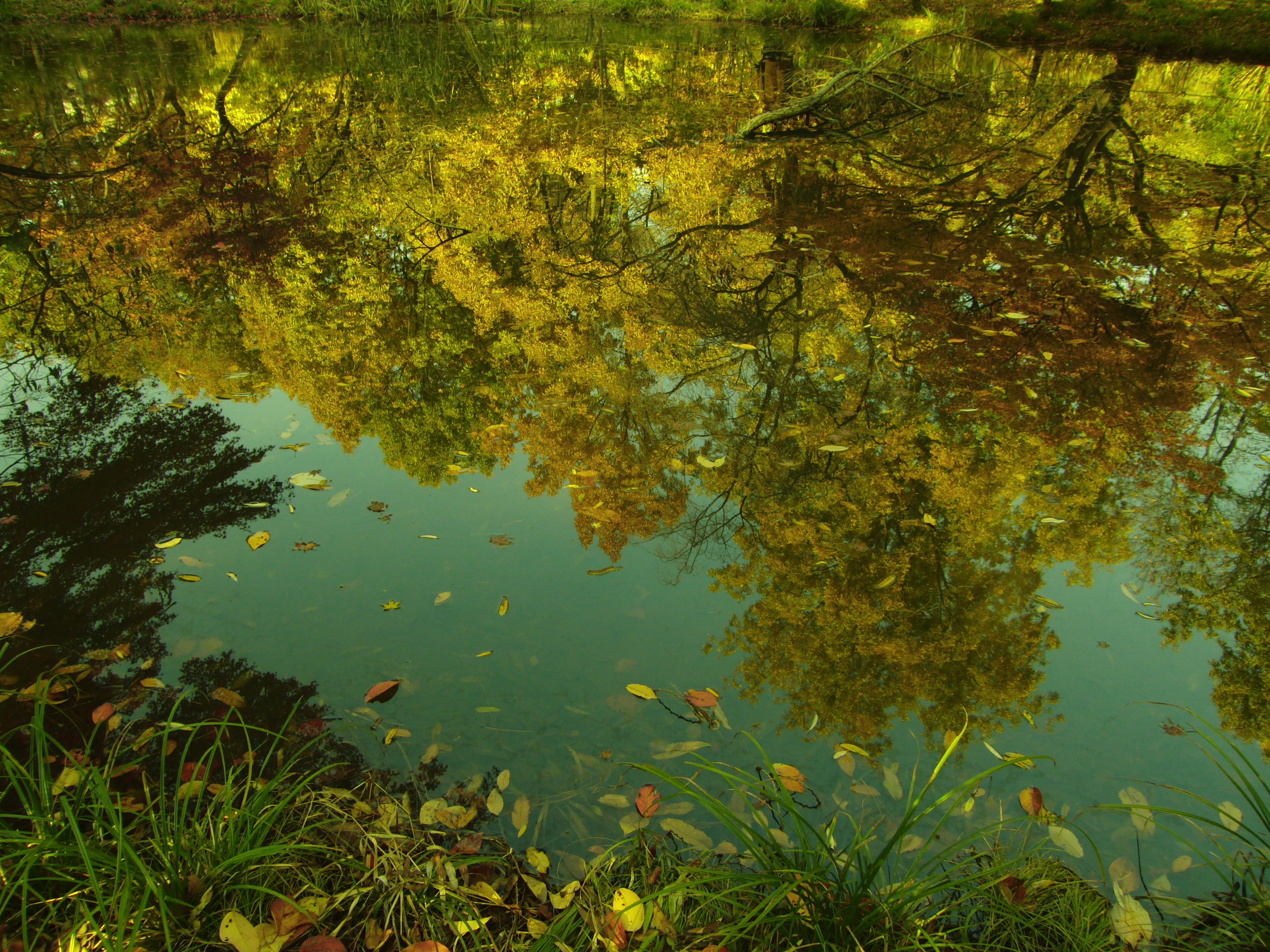 <b>カラーフィルター：黄</b>