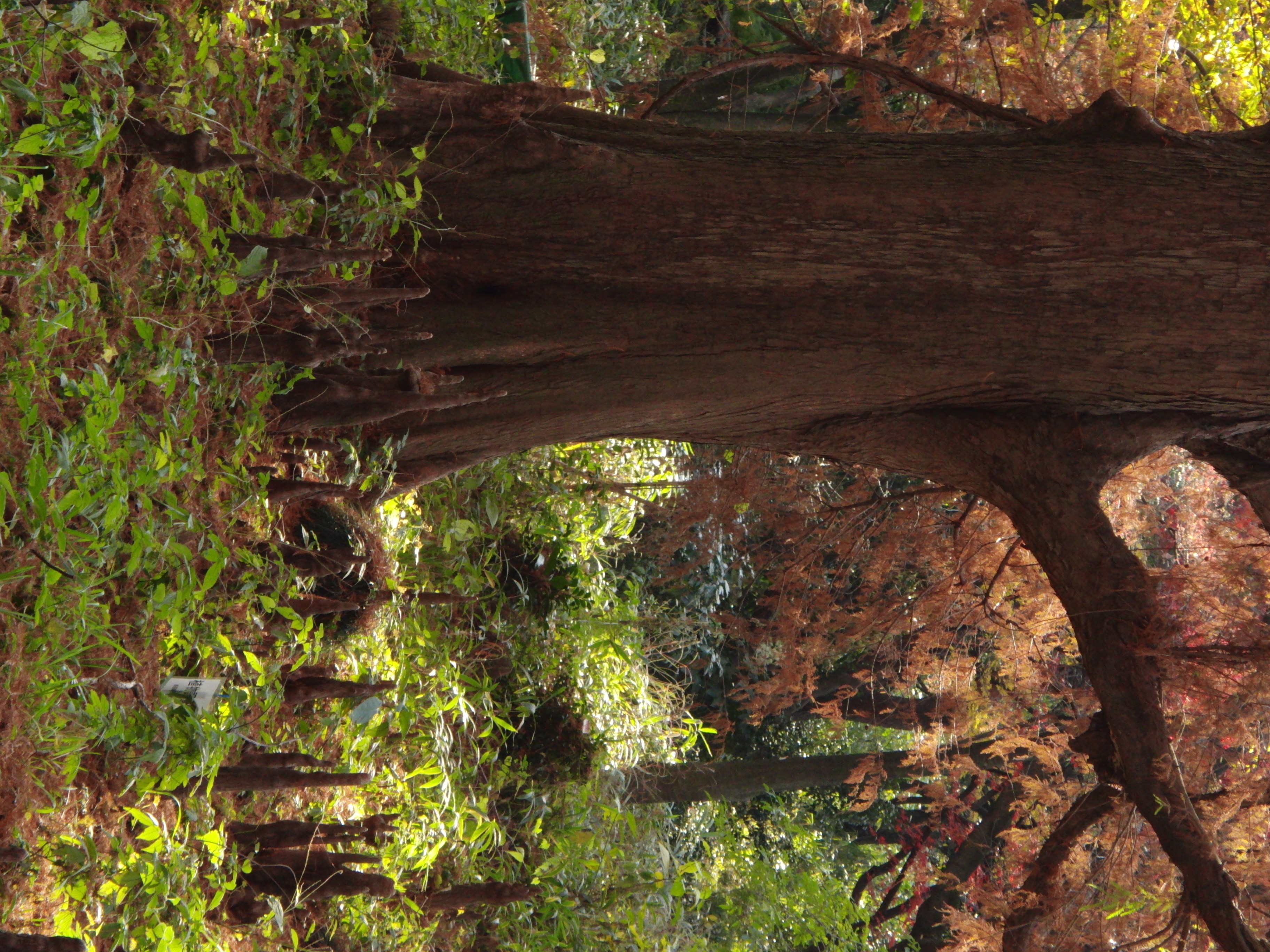 <b>ISO400<br>3,648×2,736 / 1/125秒 / F4.2 / -1EV / / WB:太陽光 / 26.9mm（152mm相当）</b>