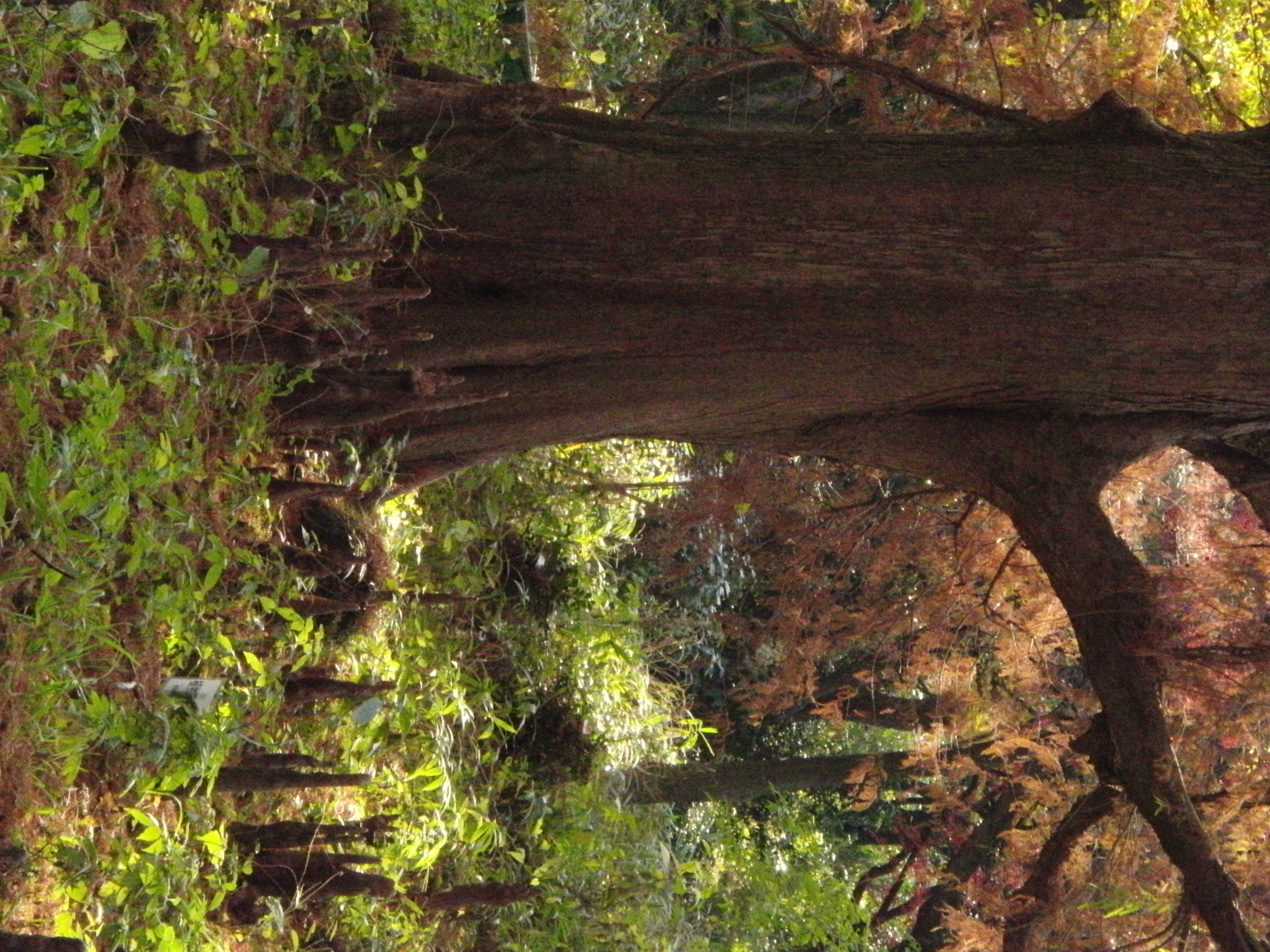 <b>ISO3200<br>3,648×2,736 / 1/500秒 / F6.8 / -1EV / / WB:太陽光 / 26.9mm（152mm相当）</b>