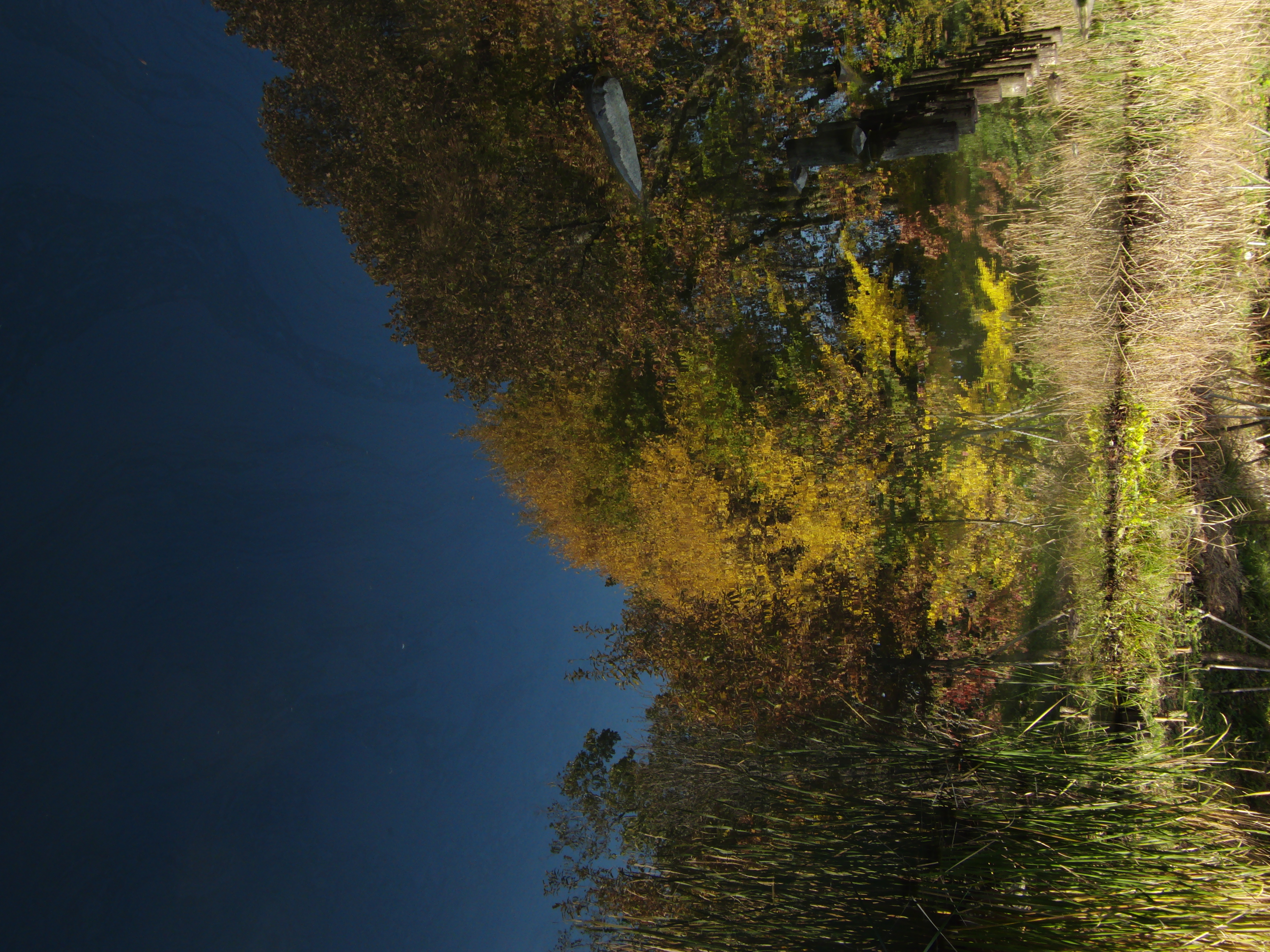 <b>池の水面に映った黄葉。マイナス補正で空の青さを強調してみた<br>3,648×2,736 / 1/320秒 / F3.6 / -1.3EV / ISO100 / WB:太陽光 / 7.9mm（45mm相当）</b>