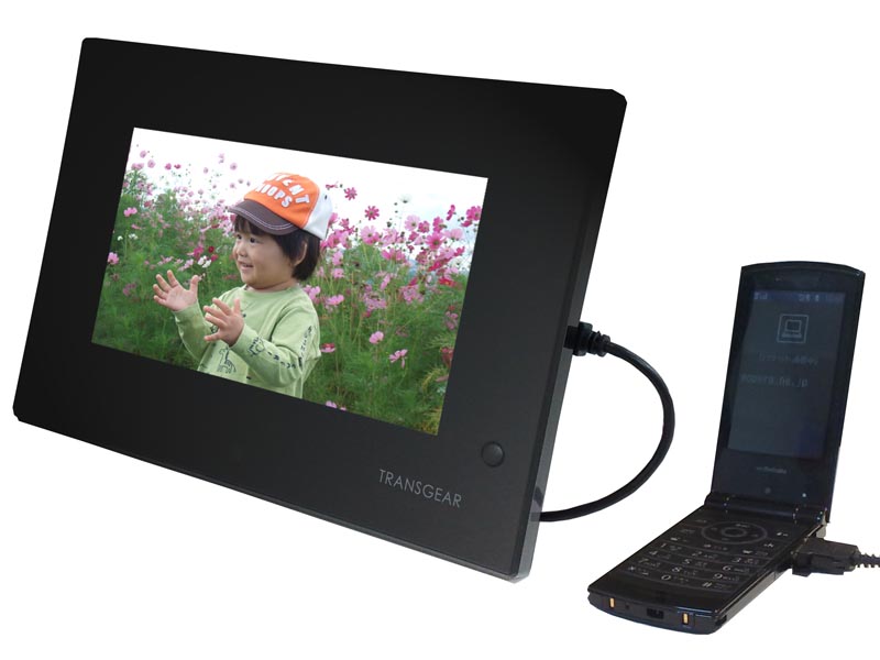 <b>TRANSGEAR TGP-701MG</b>