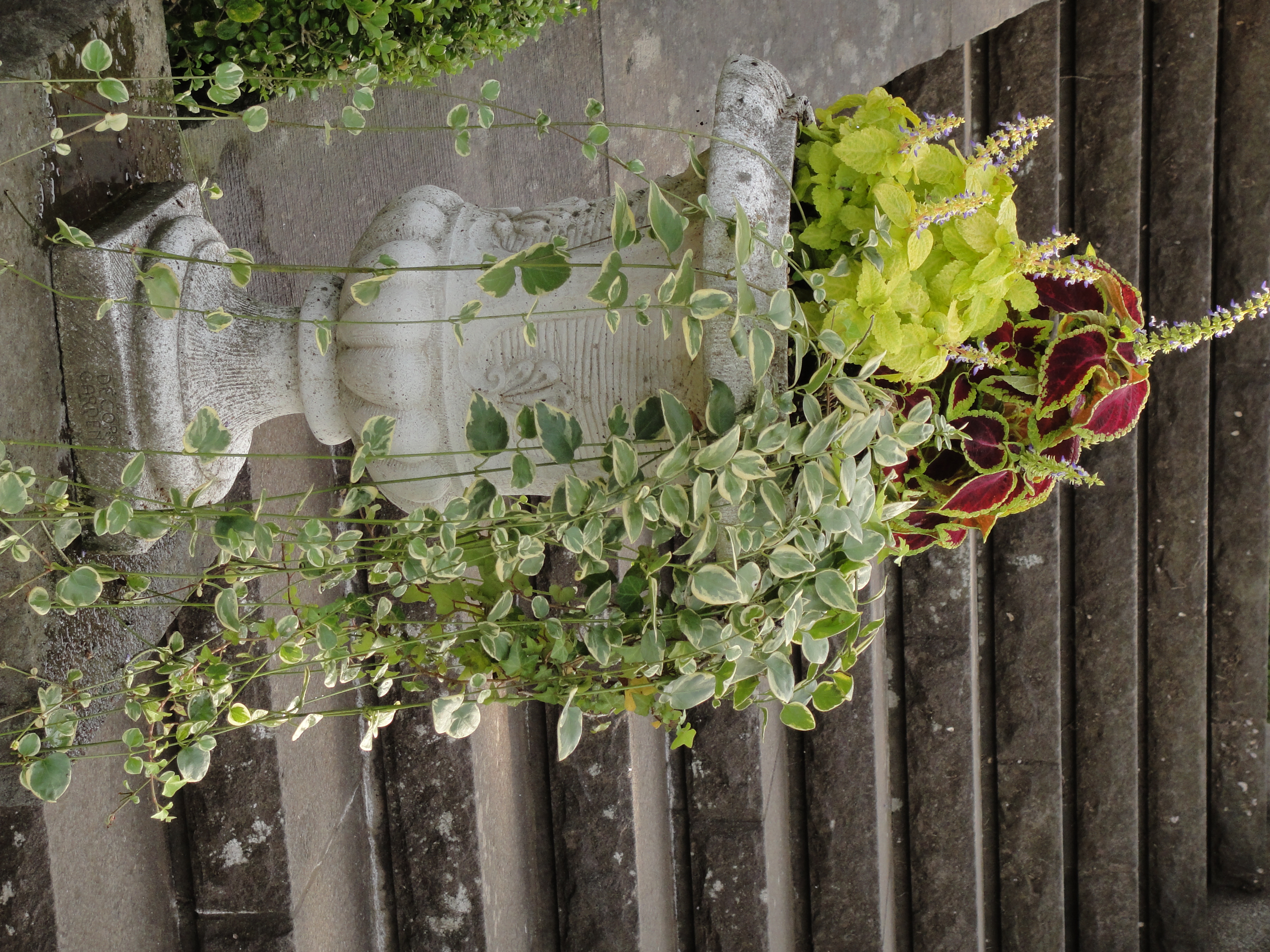 <b>DSC-TX1 / 約4.3MB / 2,736×3,648 / 1/200秒 / F4.5 / -0.7EV / ISO125 / WB:太陽光 / 14.1mm</b>