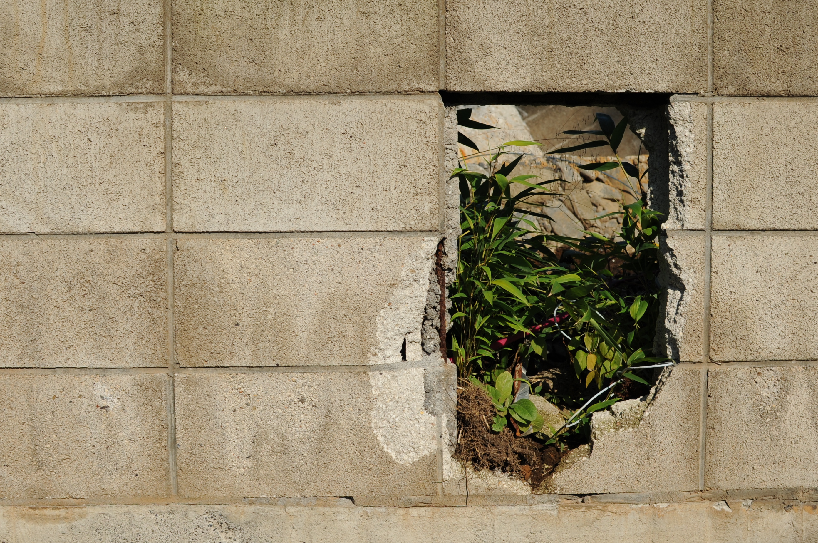 <b>ちょっとタル型の歪曲収差が気になるが、シャープでボケもいいし、小型軽量で価格も手ごろ。うれしい存在だ<br>D700 / AF-S DX NIKKOR 35mm F1.8 G / 2,784×1,848 / 1/1600秒 / F5.6 / 0EV / ISO200 / WB:太陽光 / 35mm（52.5mm相当）</b>