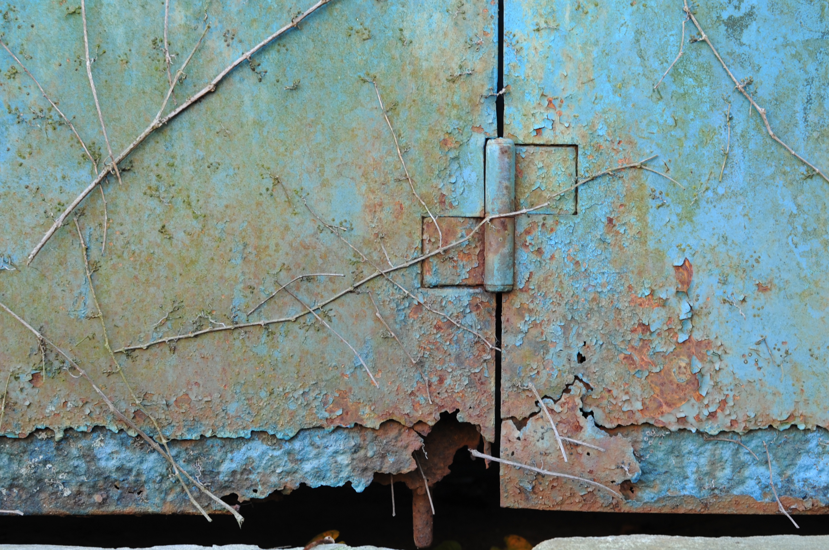 <b>フォーカスリングのタッチは決してよくはないが、MFでの操作性はまずまず。フルタイムMFも使えるので便利はいい<br>D700 / AF-S DX NIKKOR 35mm F1.8 G / 2,784×1,848 / 1/25秒 / F5.6 / -0.7EV / ISO200 / WB:太陽光 / 35mm（52.5mm相当）</b>