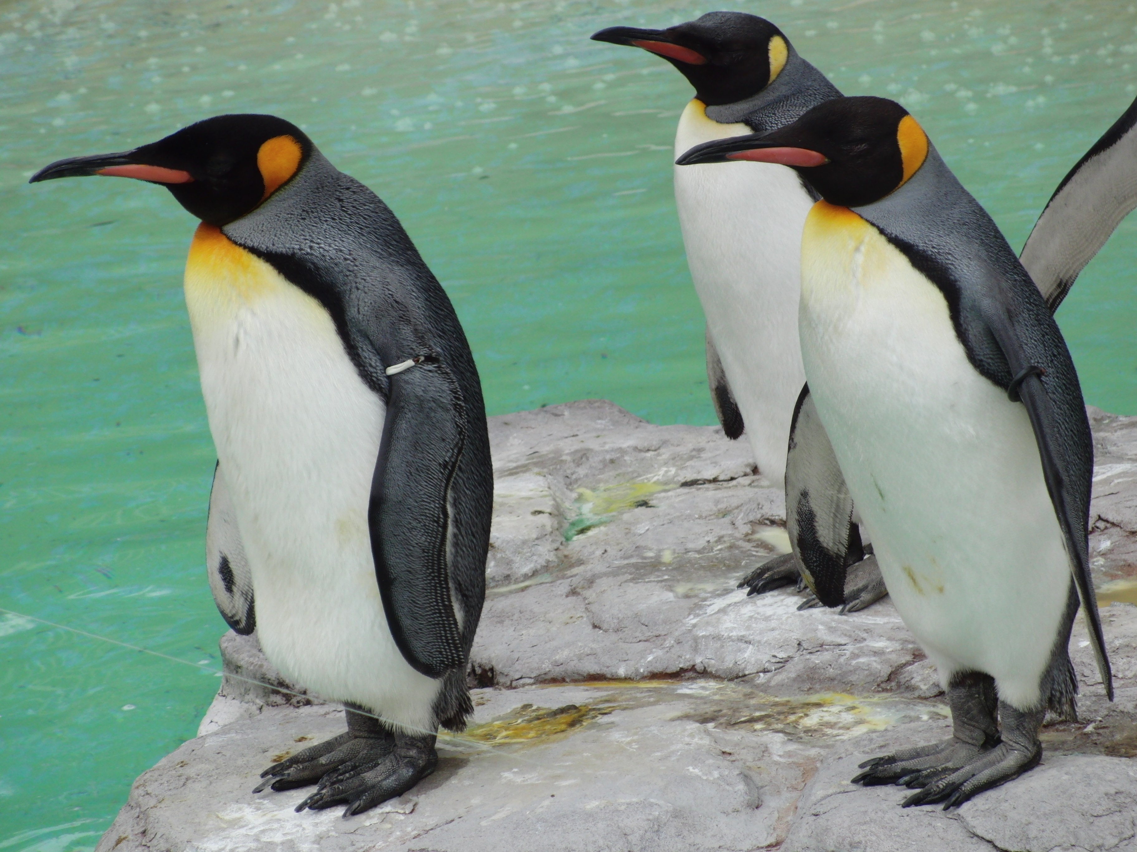 <b>EX-FC150 / 3,648×2,736 / 1/160秒 / F4.5 / 0EV / ISO100 / オート / WB:オート / 32mm</b>