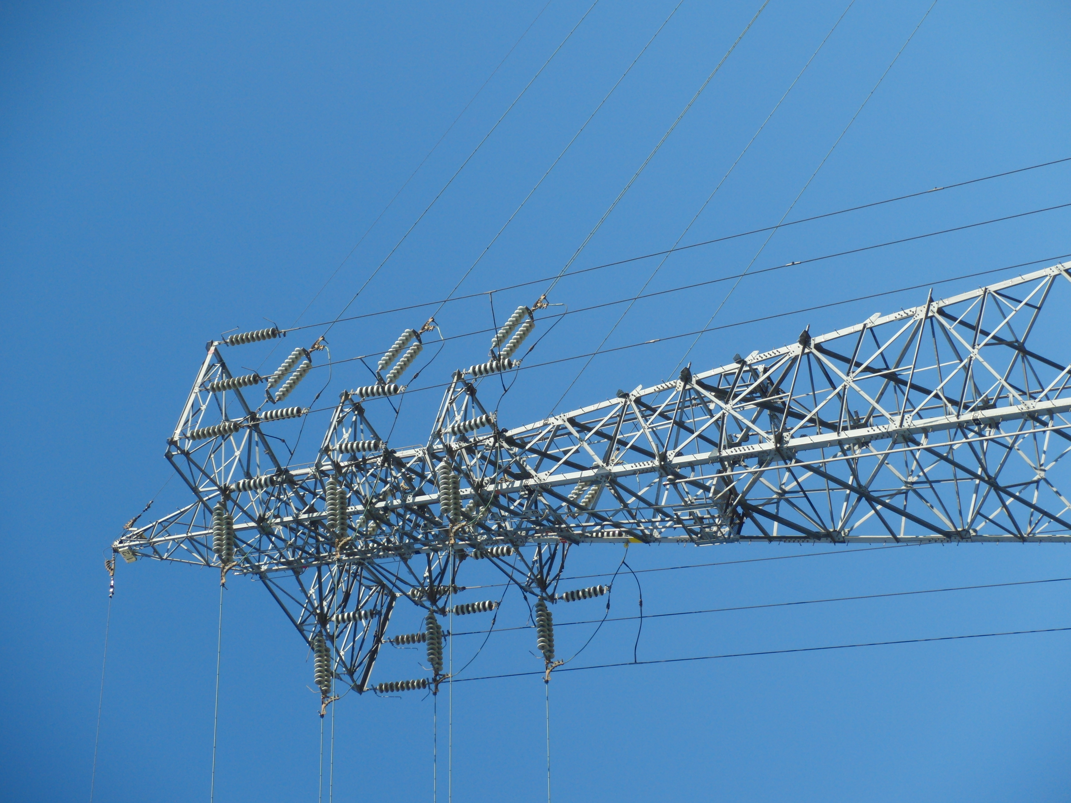 <b>EX-FC150 / 3,648×2,736 / 1/640秒 / F4.2 / 0EV / ISO100 / オート / WB:オート / 19.8mm</b>