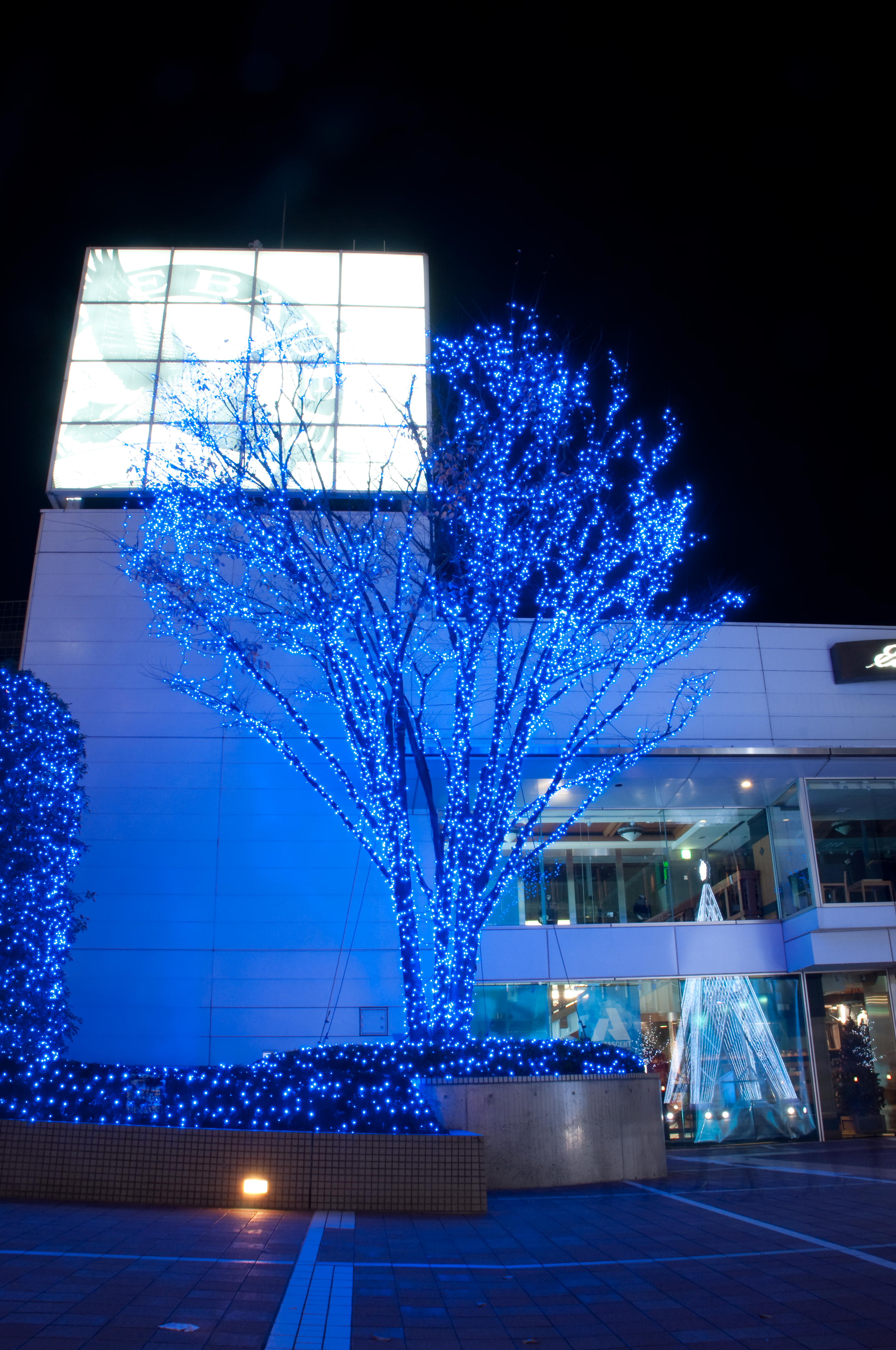 <b>広角端（18mm相当）<br>D90 /約6.6MB / 2,848×4,288 / 3秒 / F20 / -1/3EV / ISO200 / WB:5000K</b>