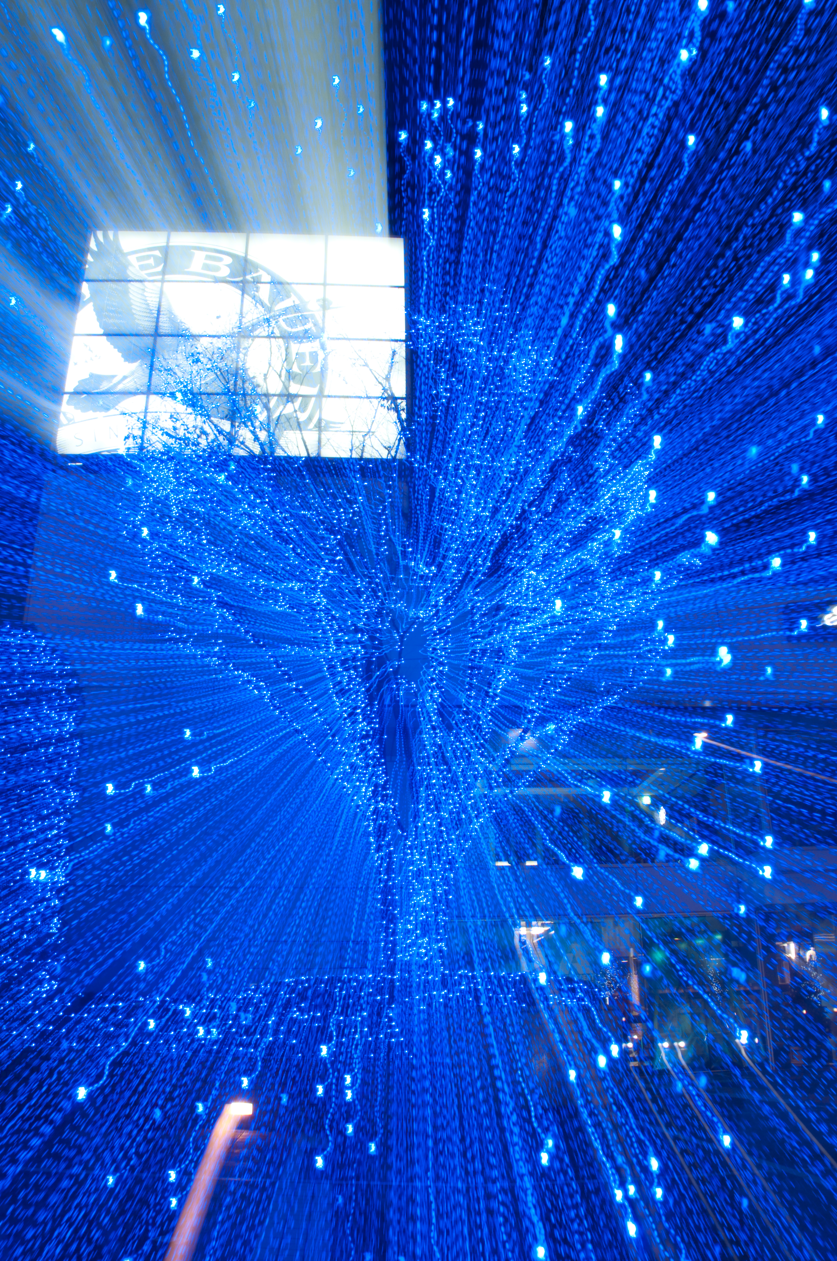 <b>広角端→望遠端の露光間ズーム<br>D90 / 約11.1MB / 2,848×4,288 / 3秒 / F20 / -1/3EV / ISO200 / WB:5000K</b>