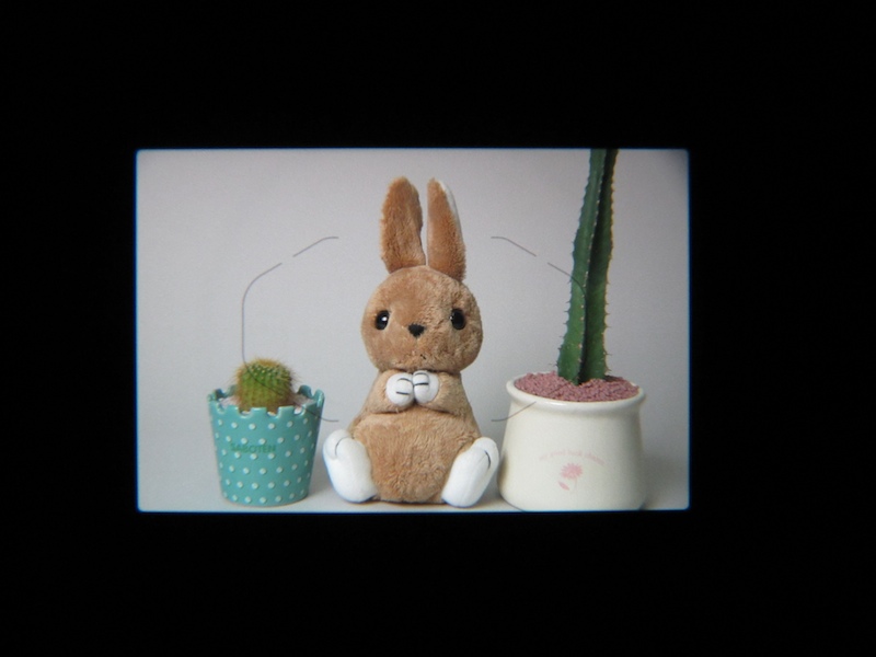 <b>ファインダー内表示の例　※IXY DIGITAL 930 ISをアイピースを外したファインダー接眼部にあてがい、同焦点距離で撮影した。あくまでも簡易な撮影であり、厳密に倍率・視野率を示すものではなく、</b><b>実際の見え方と同一ではない</b>