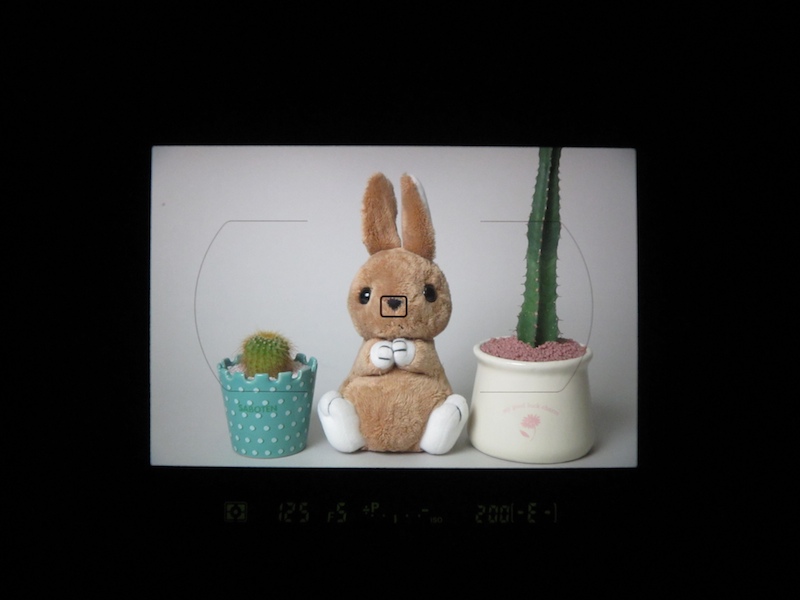 <b>ファインダー内表示の例　※IXY DIGITAL 930 ISをアイピースを外したファインダー接眼部にあてがい、同焦点距離で撮影した。あくまでも簡易な撮影であり、厳密に倍率・視野率を示すものではなく、</b><b>実際の見え方と同一ではない</b>