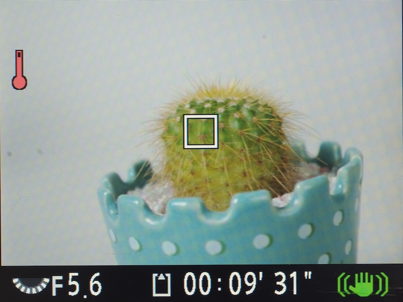 <b>動画記録中の画面</b>